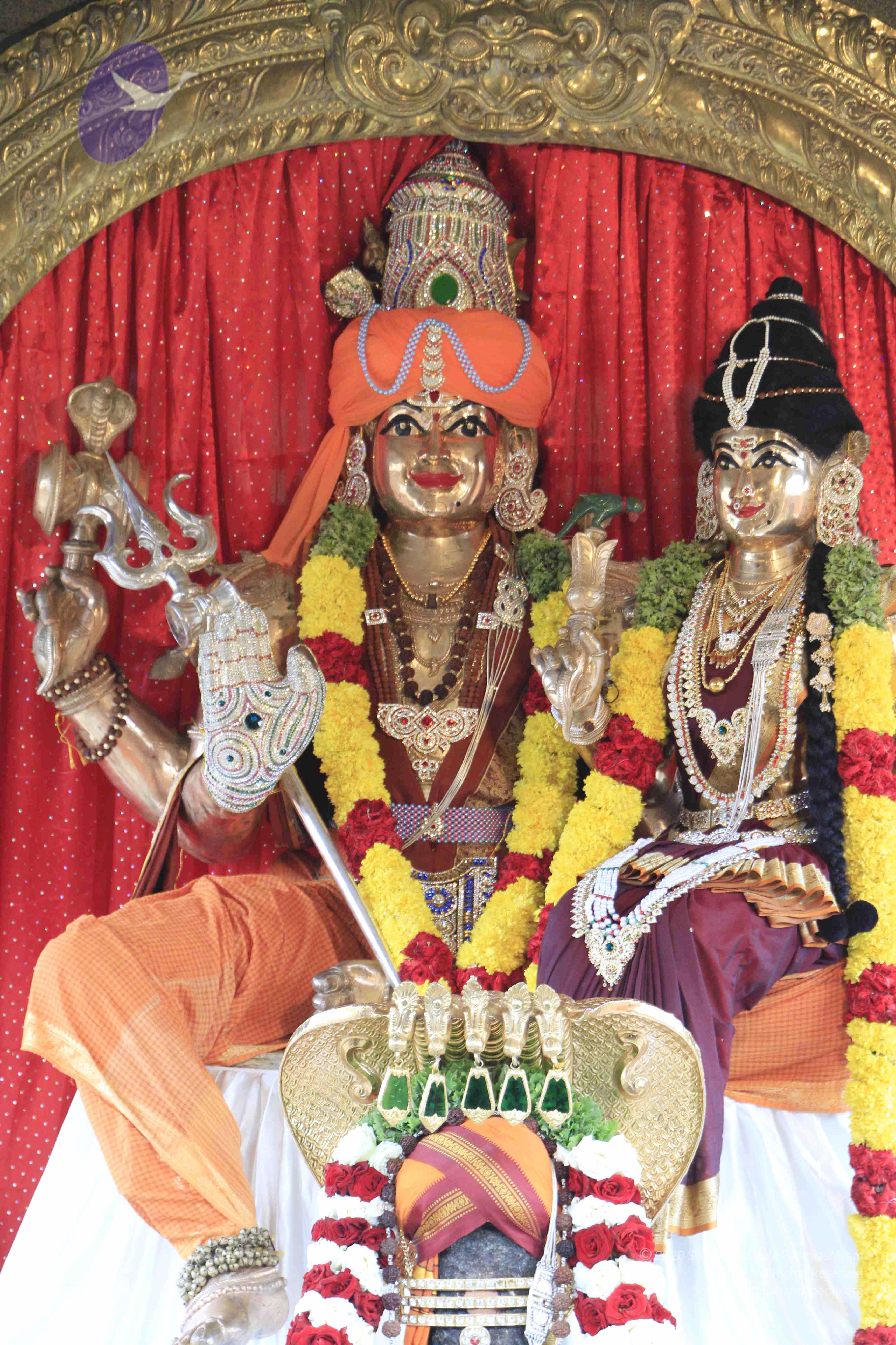 20110801_Photo_1134__MG_8634_CMP_WM