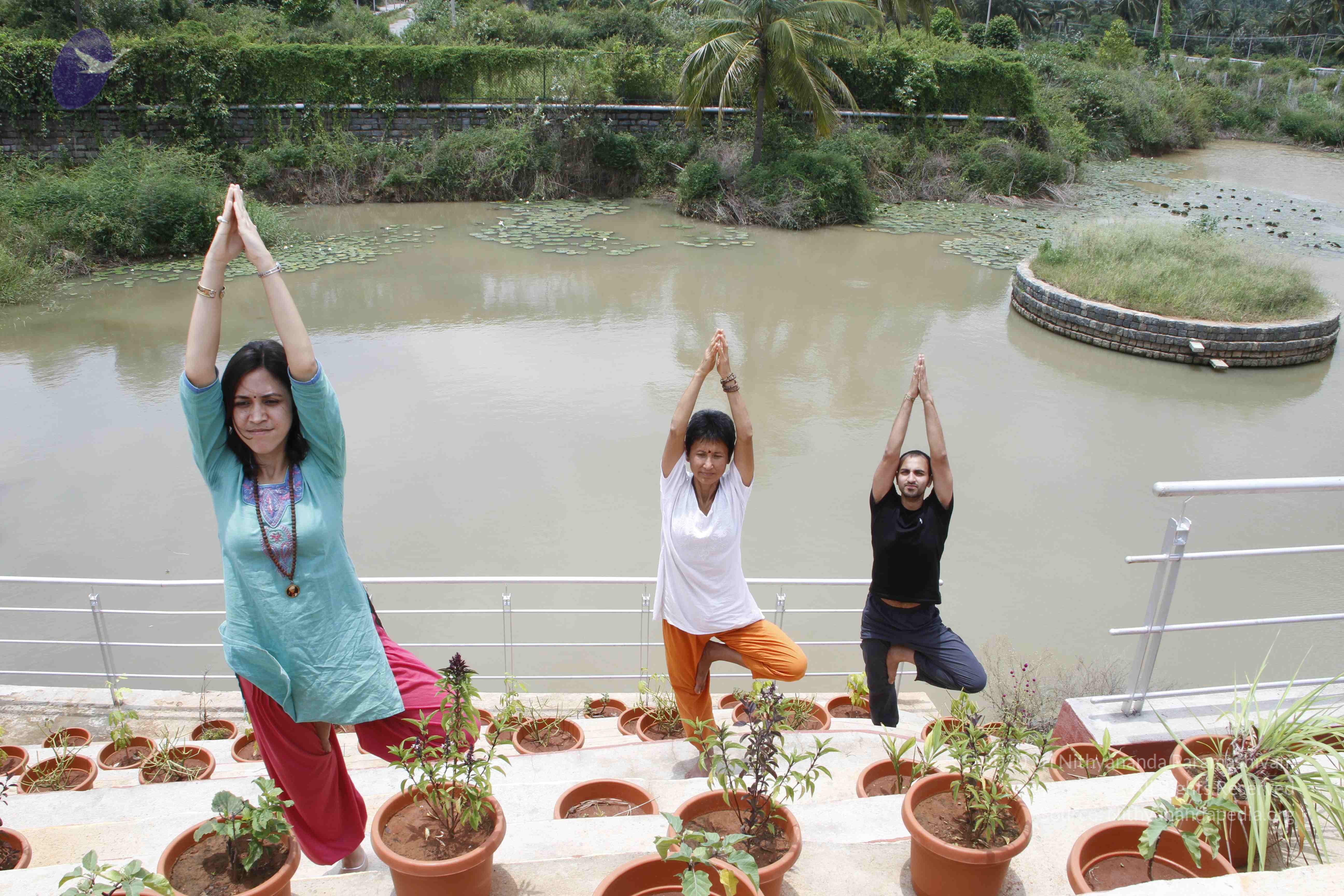 20110801_Photo_1138__MG_8742_CMP_WM