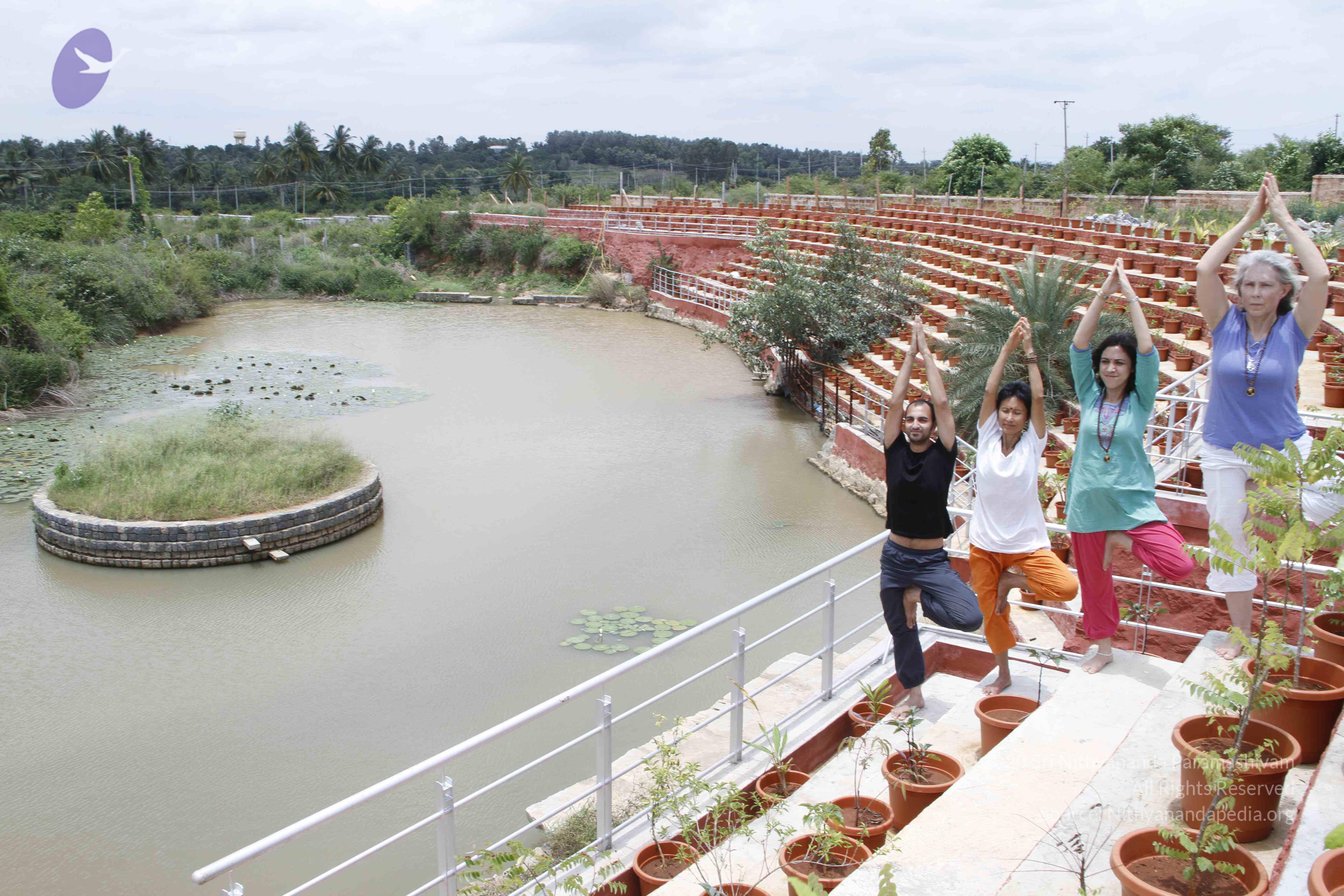 20110801_Photo_1139__MG_8739_CMP_WM