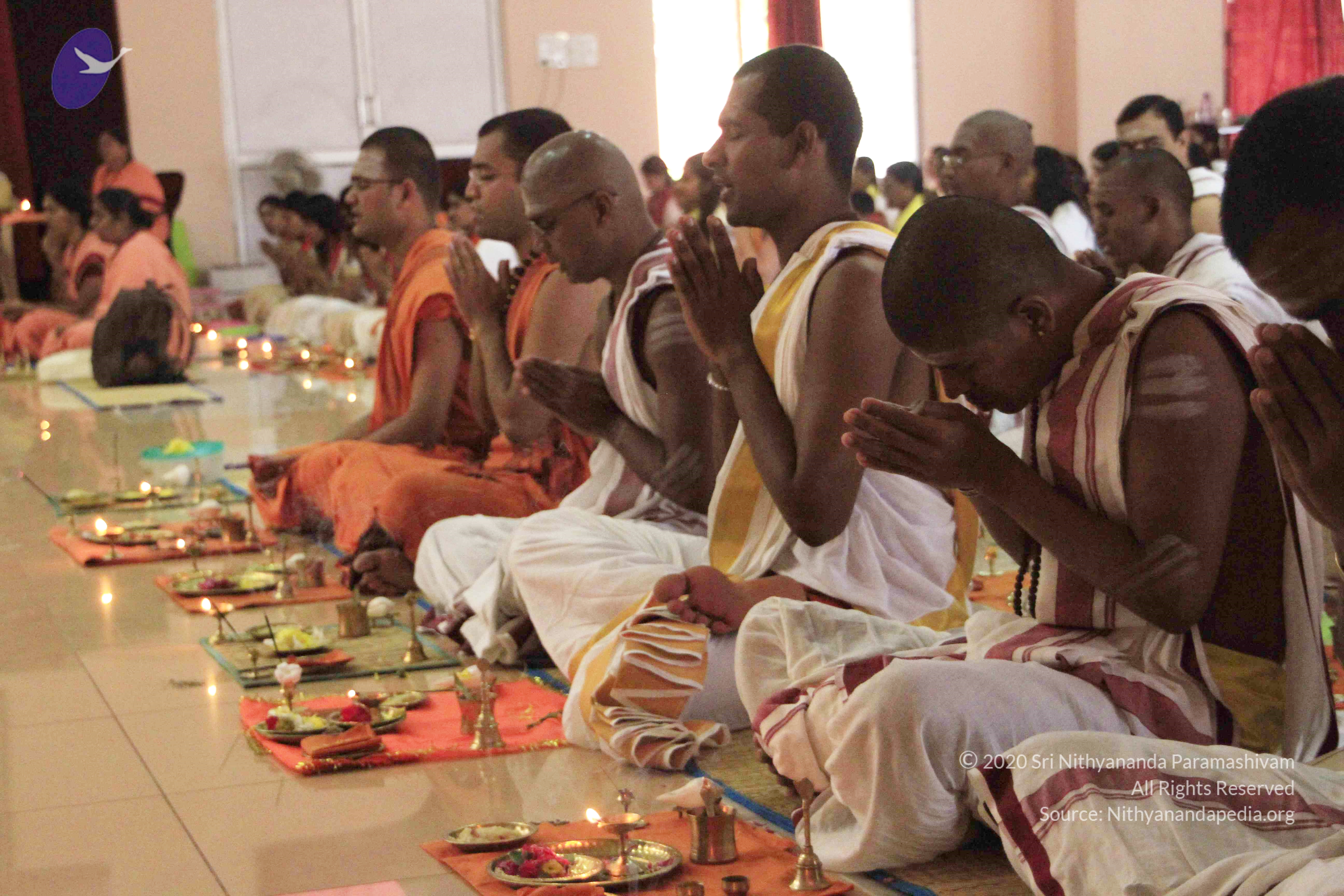 20110801_Photo_1150__MG_8664_CMP_WM