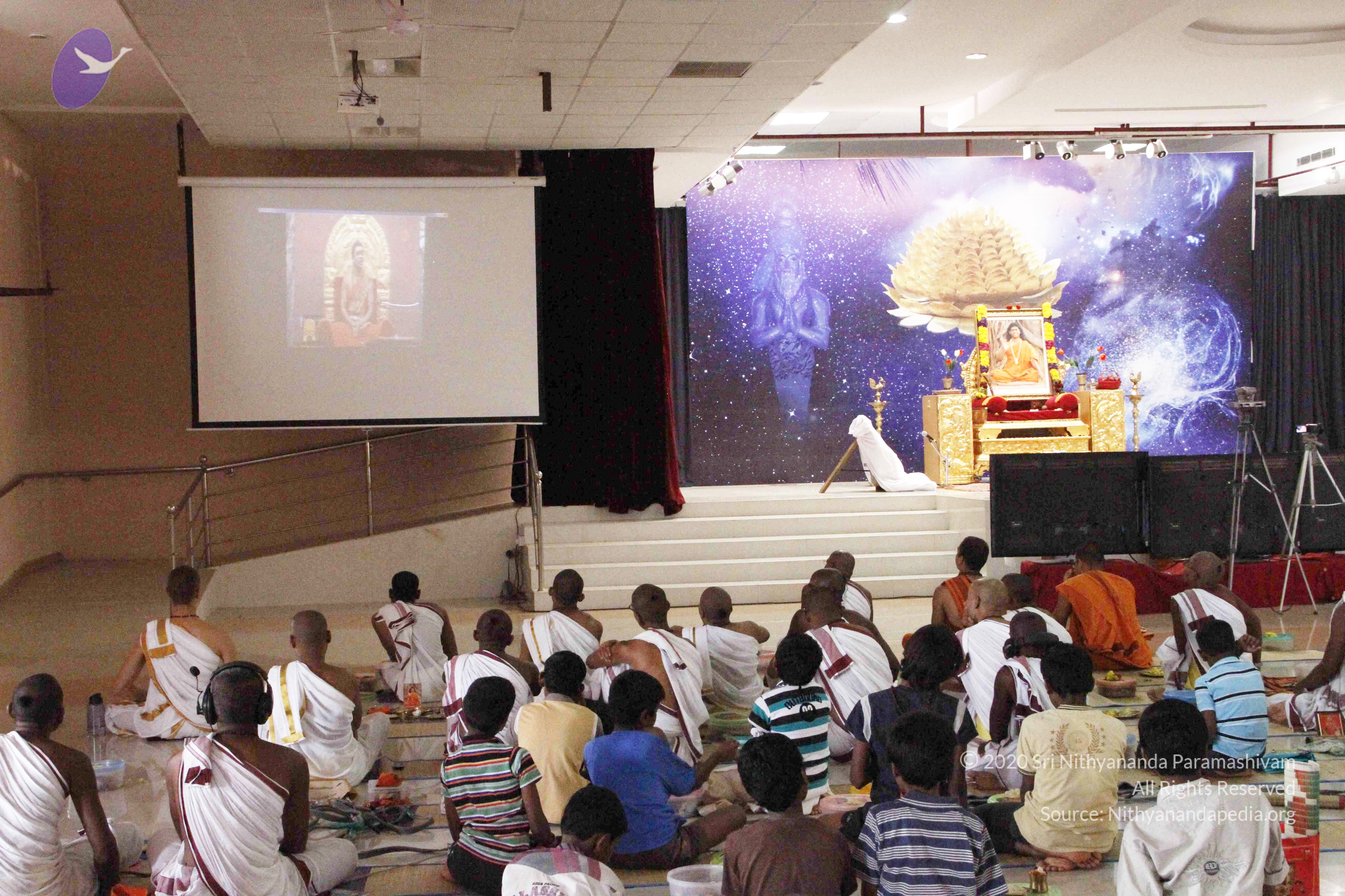 20110801_Photo_1154__MG_8696_CMP_WM