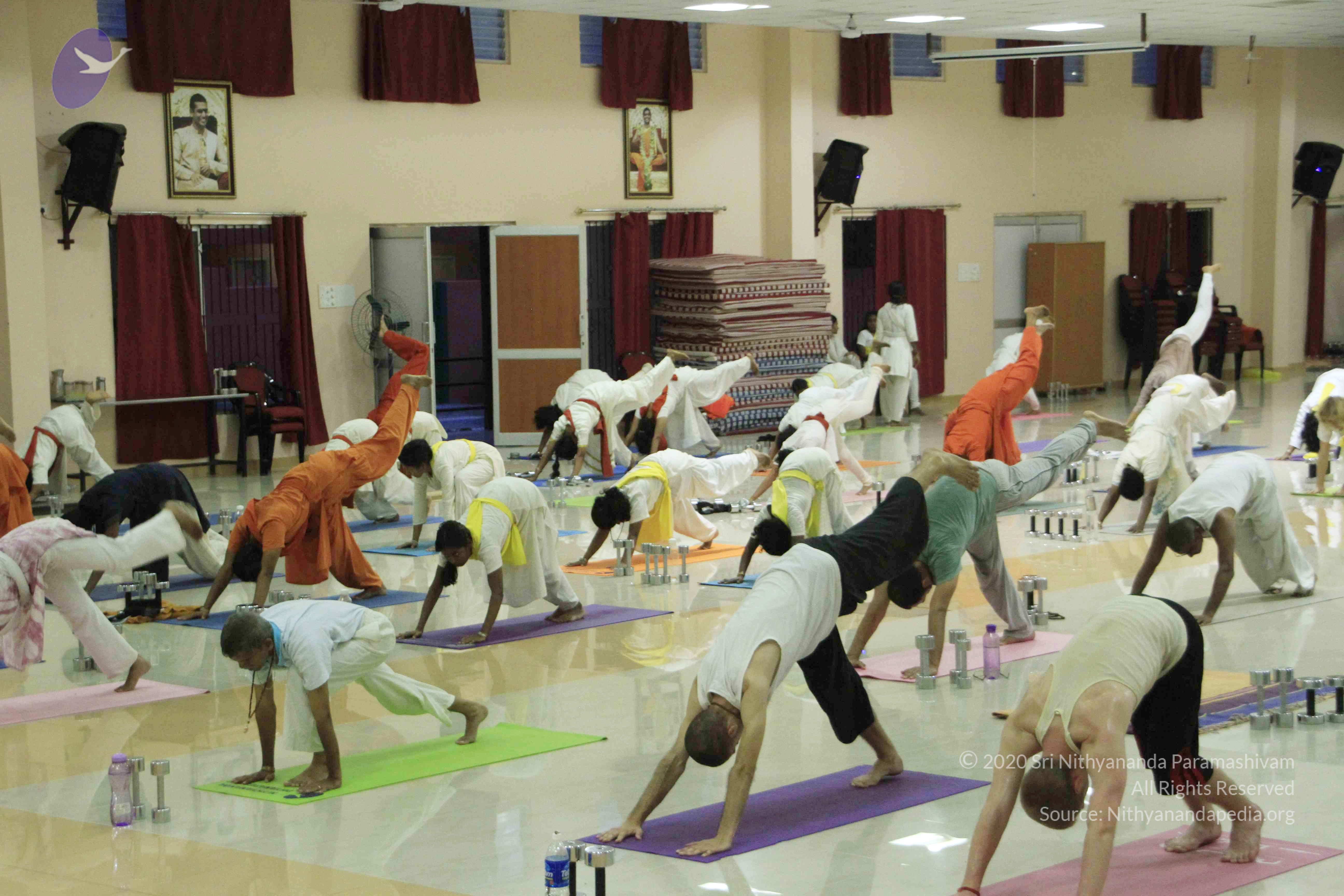 20110801_Photo_1155__MG_8537_CMP_WM