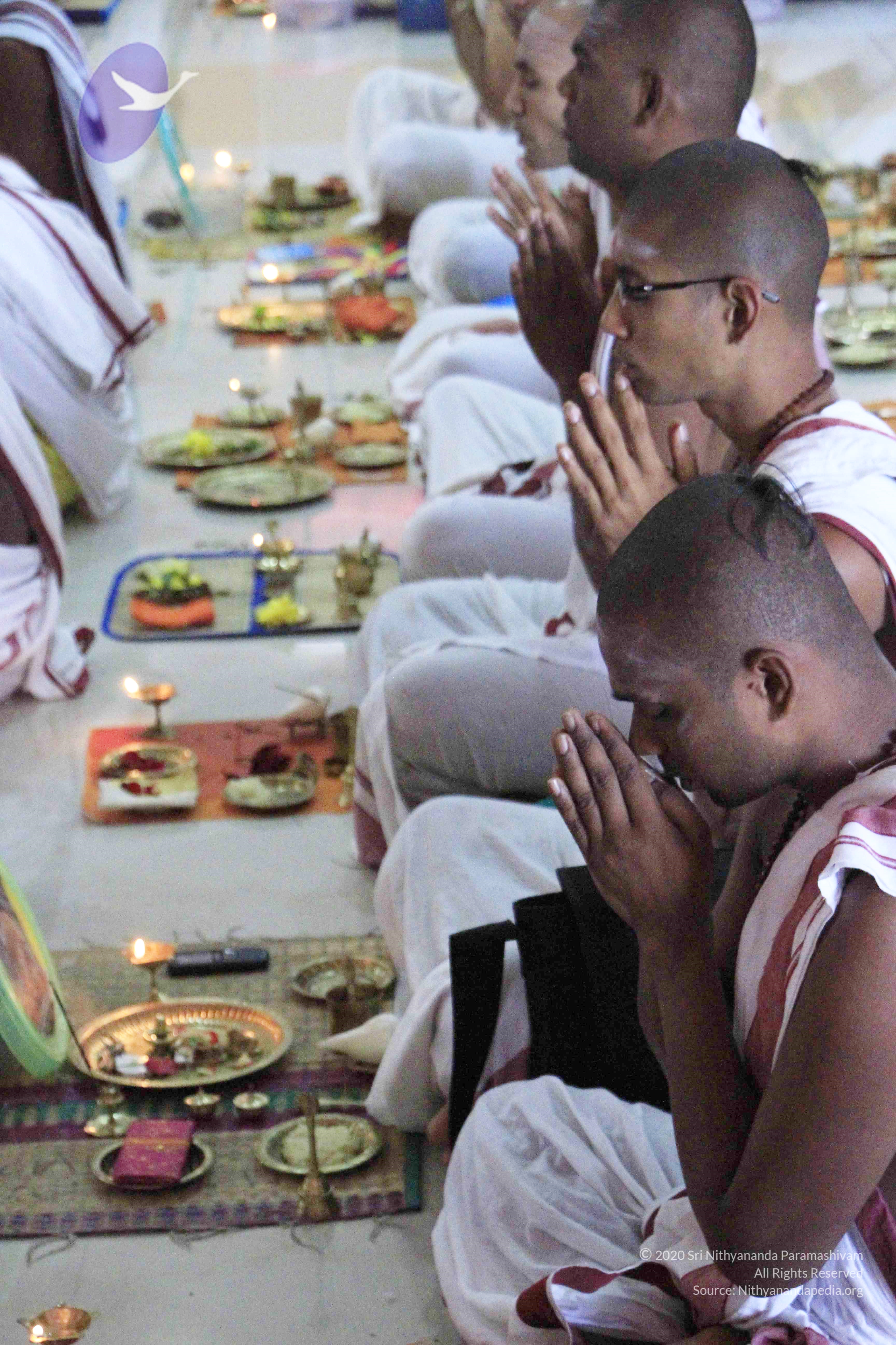 20110801_Photo_1156__MG_8669_CMP_WM