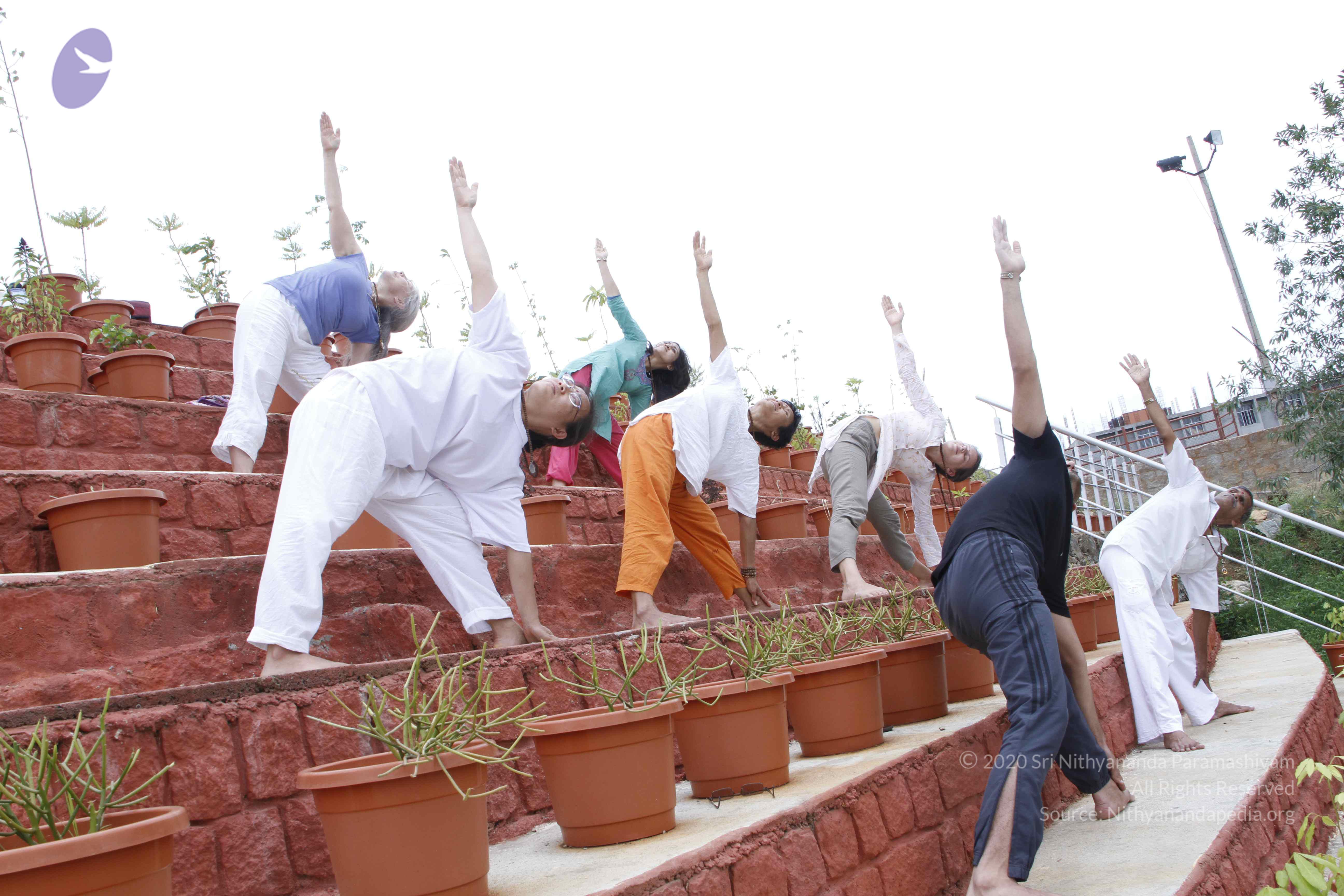 20110801_Photo_1157__MG_8728_CMP_WM