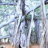 20110801_Photo_1007__MG_8650_CMP_WM