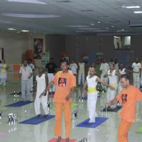 20110801_Photo_1048__MG_8510_CMP_WM