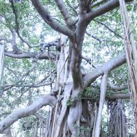 20110801_Photo_1054__MG_8652_CMP_WM