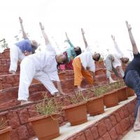 20110801_Photo_1063__MG_8729_CMP_WM