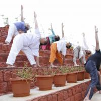 20110801_Photo_1069__MG_8730_CMP_WM