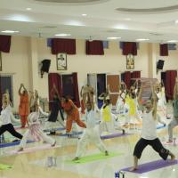 20110801_Photo_1084__MG_8530_CMP_WM