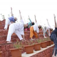 20110801_Photo_1157__MG_8728_CMP_WM