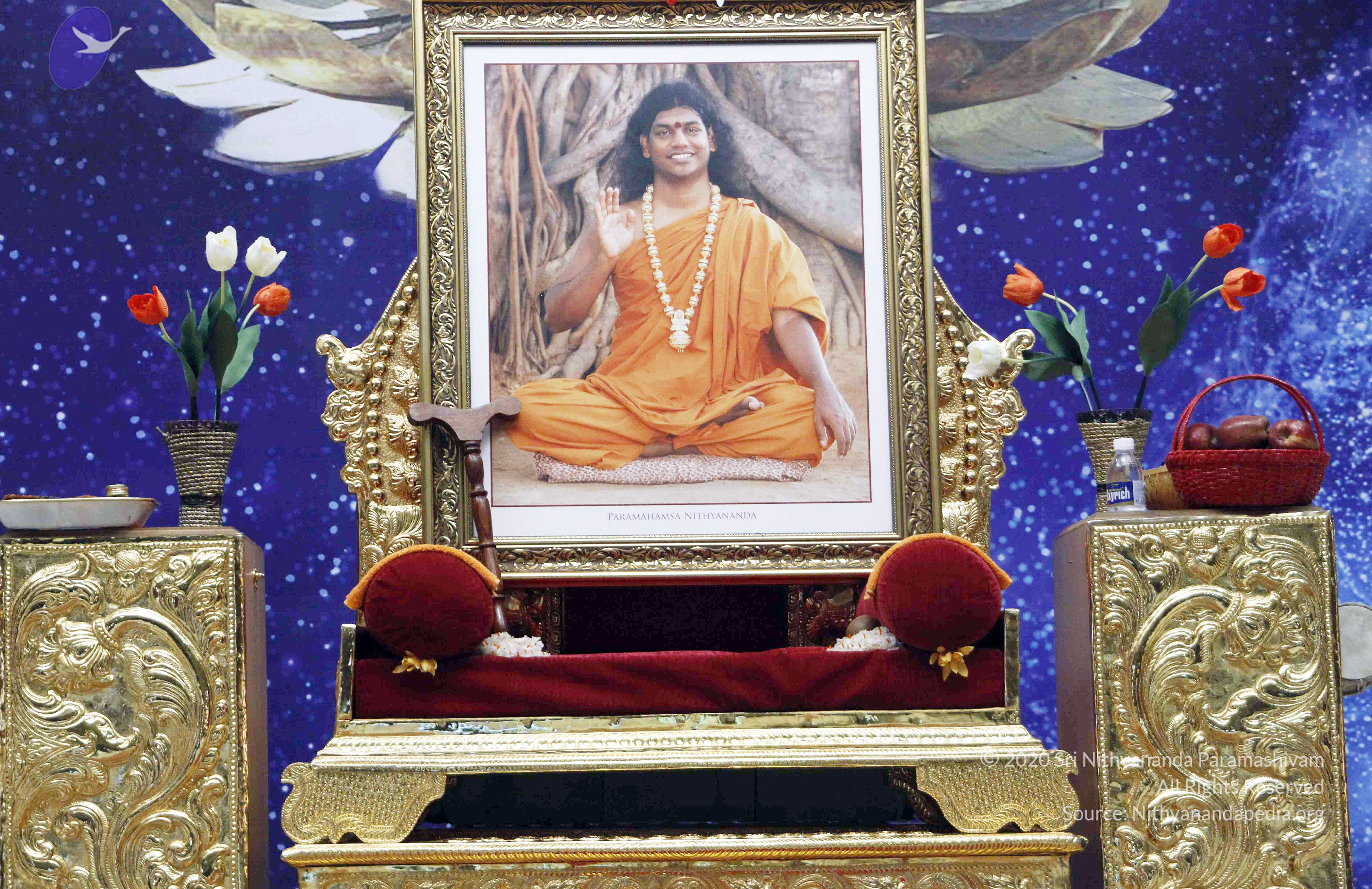 20110802_Photo_1012__aMG_8787_CMP_WM