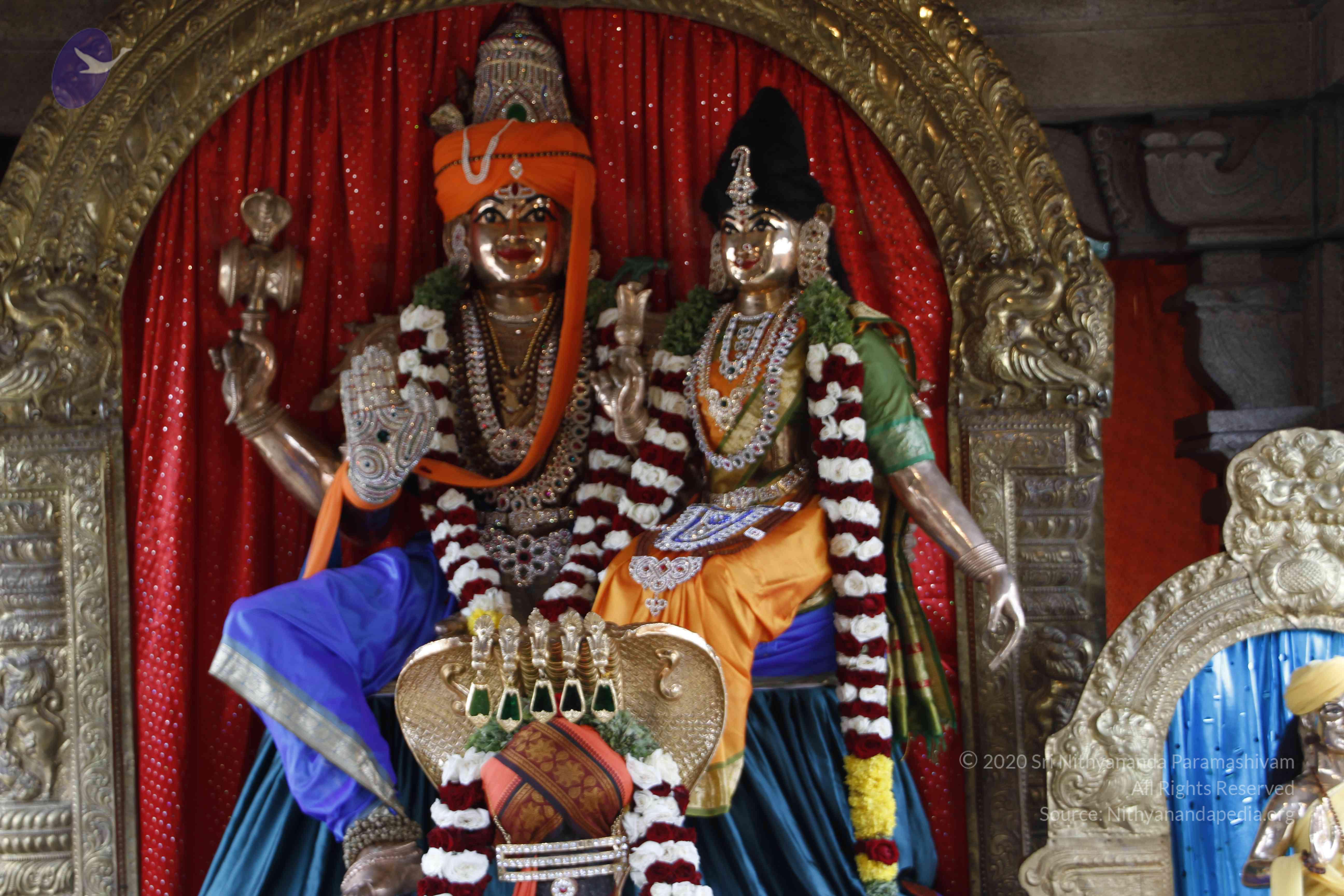 20110802_Photo_1002__MG_8833_CMP_WM