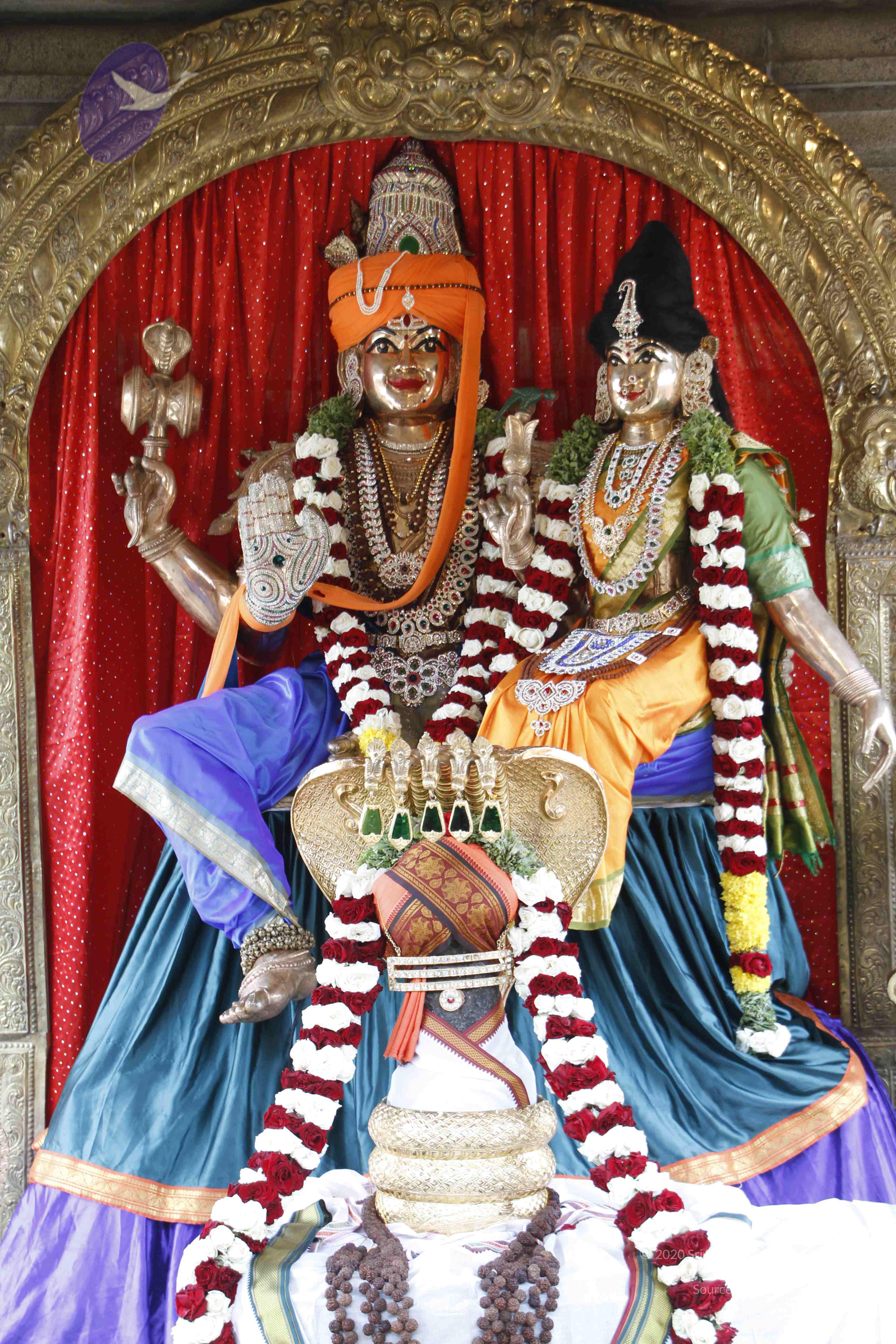 20110802_Photo_1038__MG_8835_CMP_WM