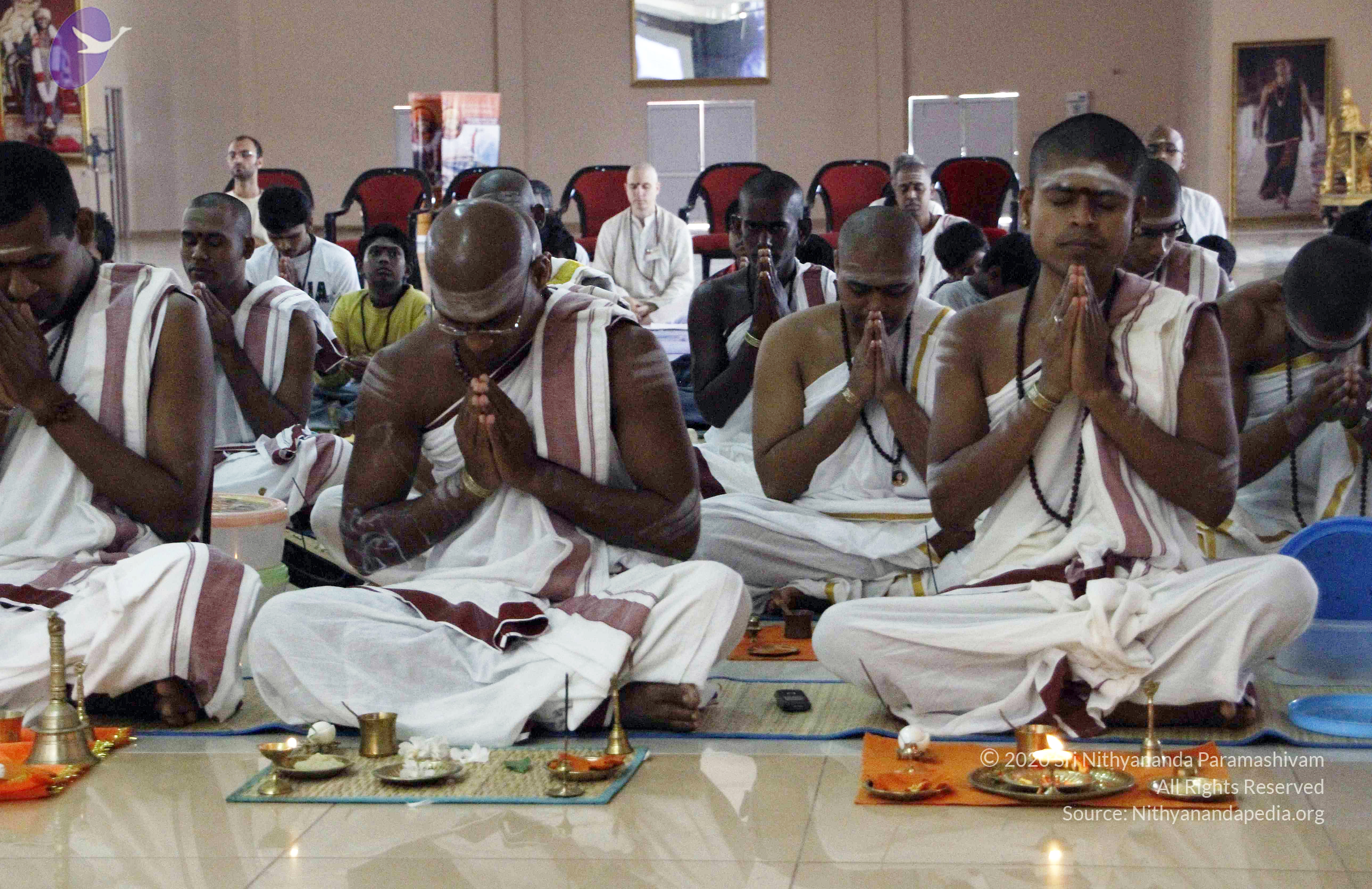 20110802_Photo_1007__MG_8771_CMP_WM