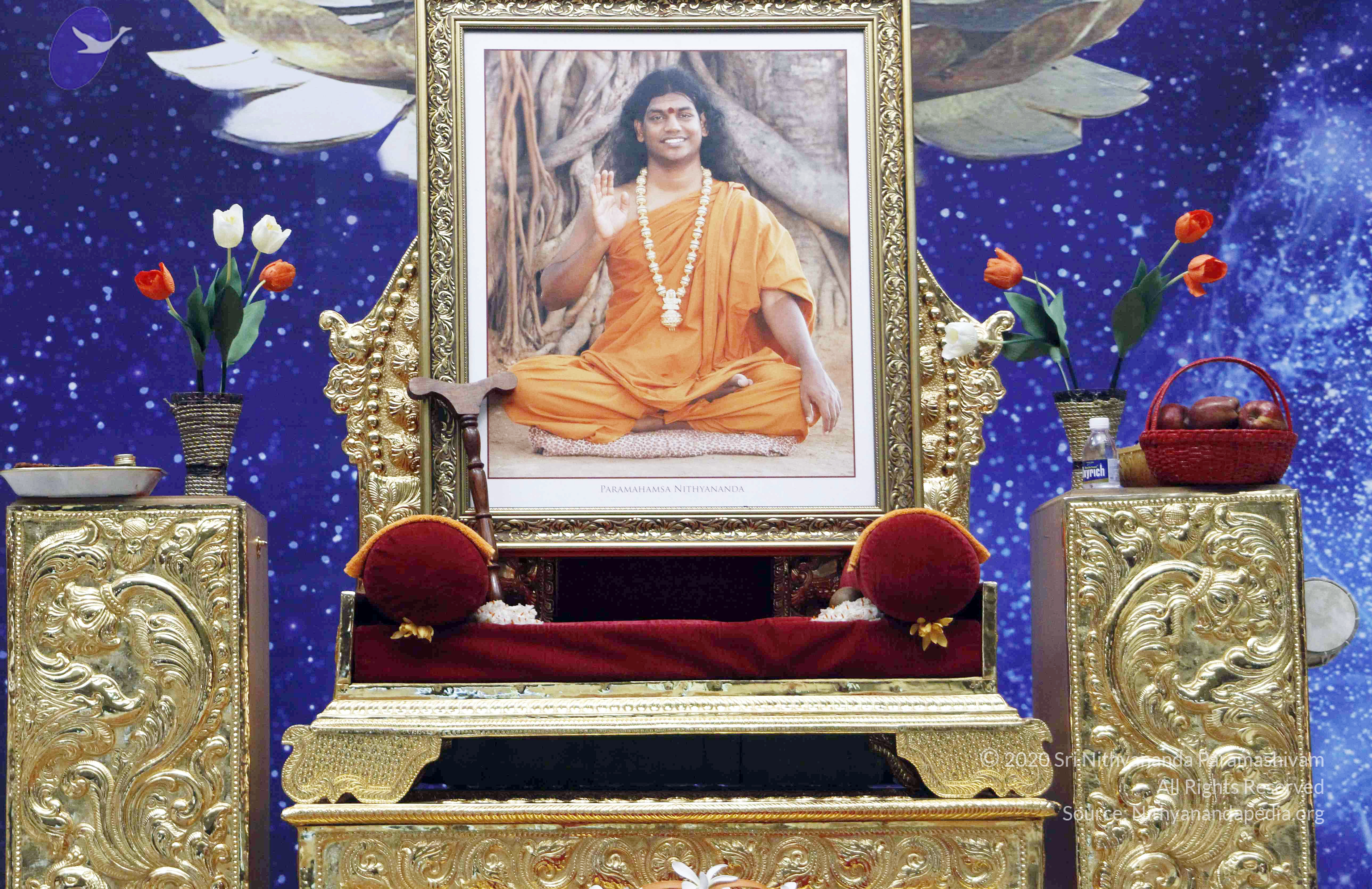 20110802_Photo_1010__MG_8783_CMP_WM