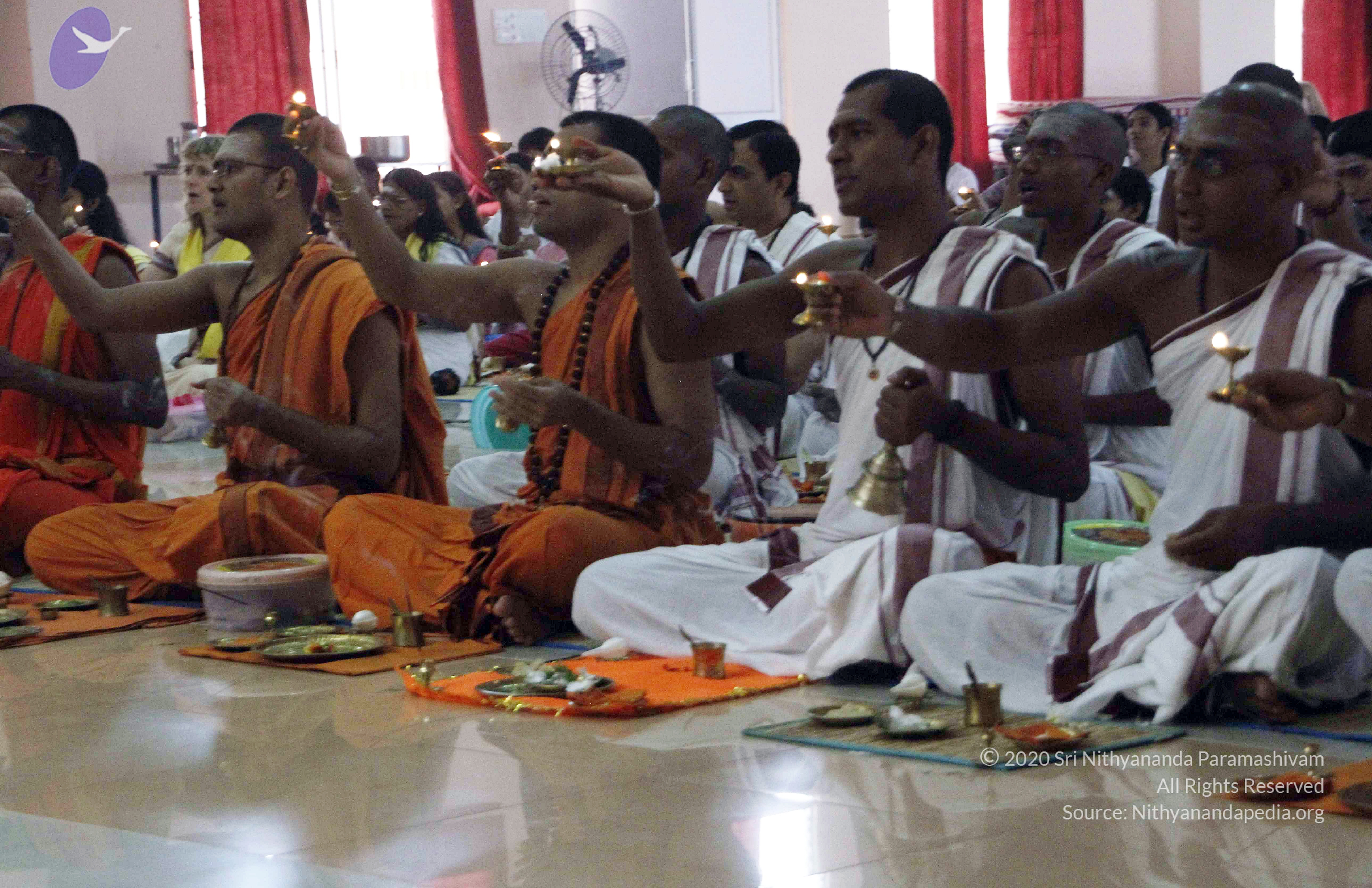 20110802_Photo_1015__MG_8800_CMP_WM