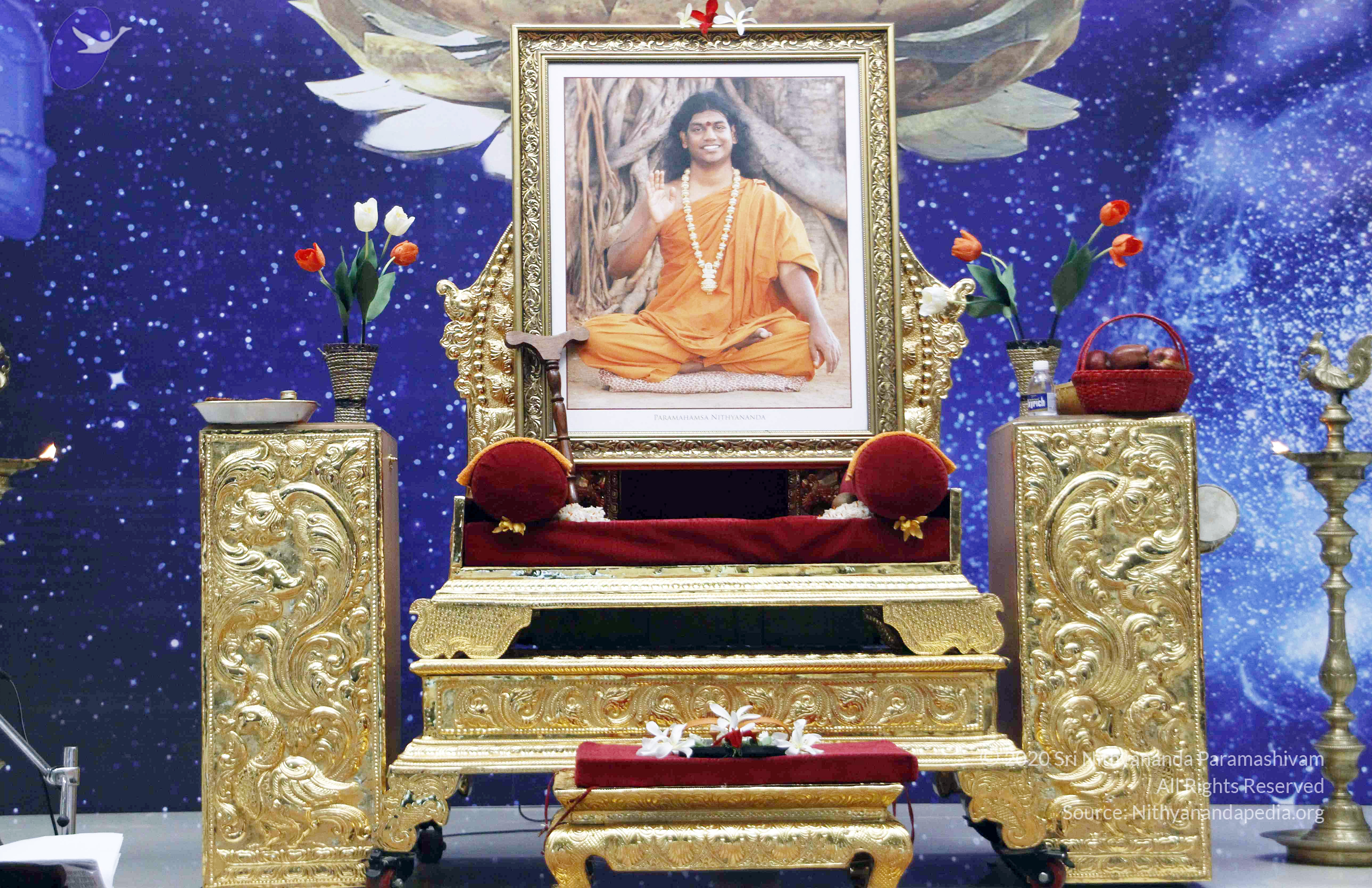 20110802_Photo_1016__MG_8785_CMP_WM