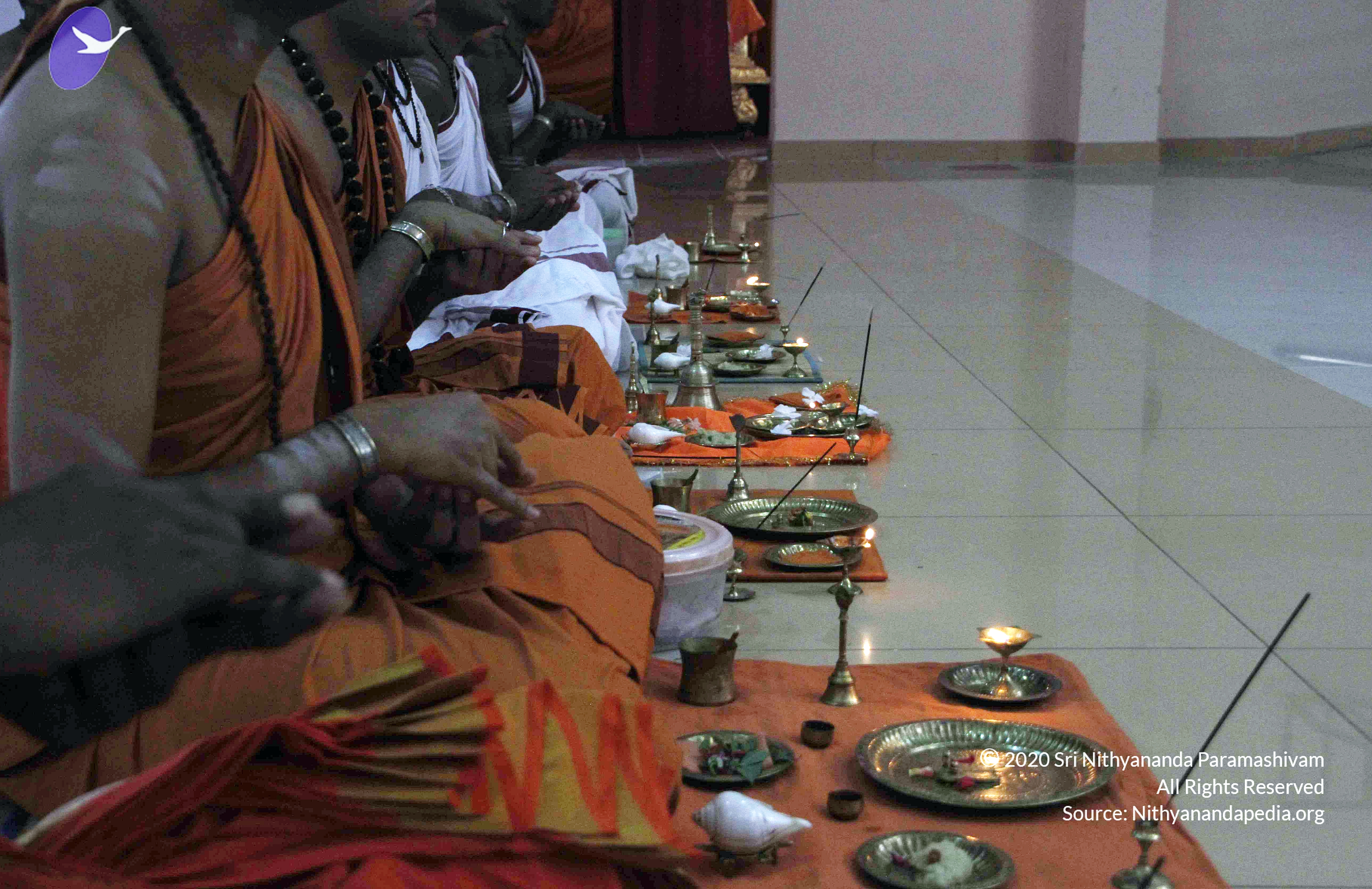 20110802_Photo_1018__MG_8788_CMP_WM