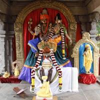 20110802_Photo_1015__MG_8831_CMP_WM