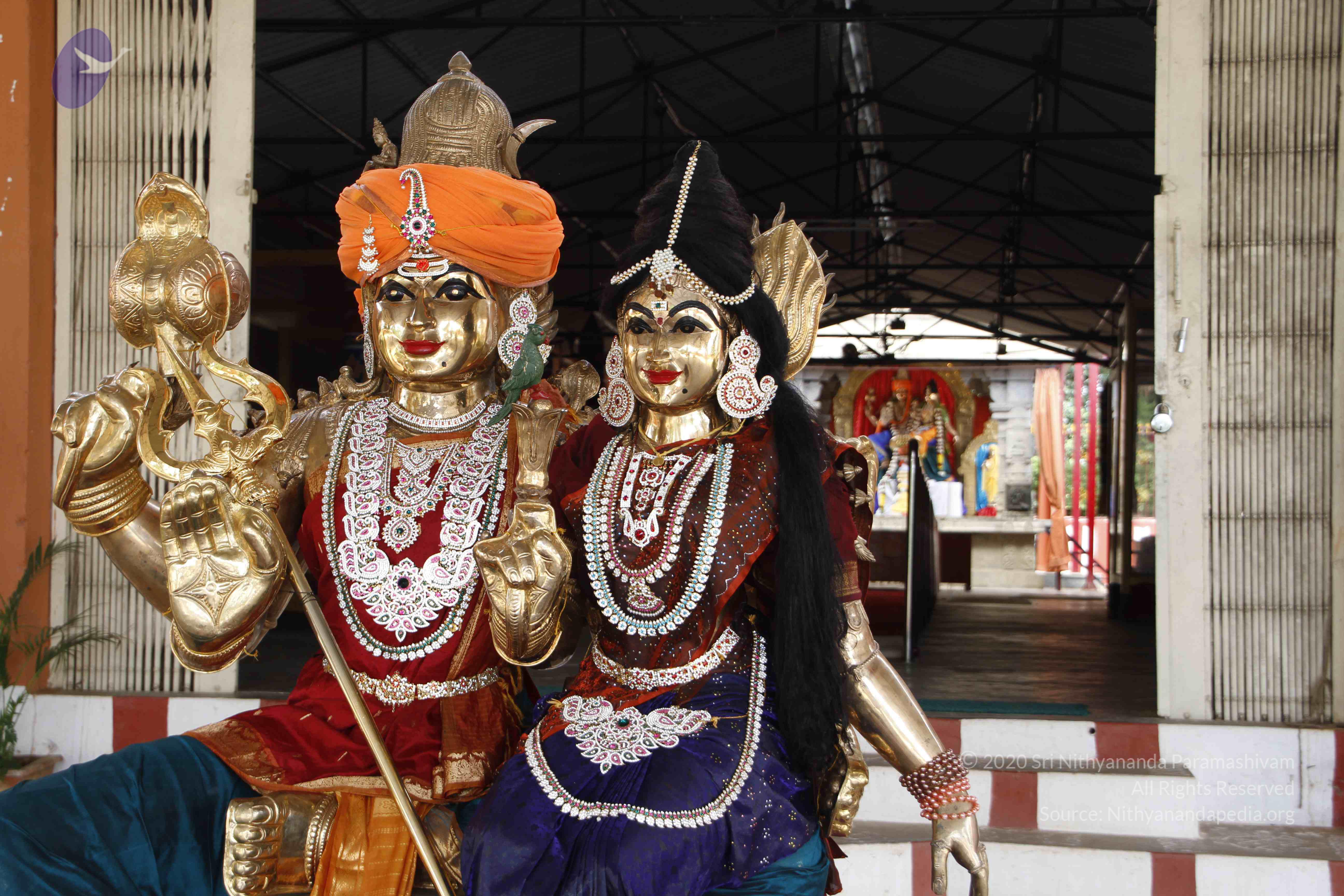 20110802_Photo_1017__MG_8828_CMP_WM