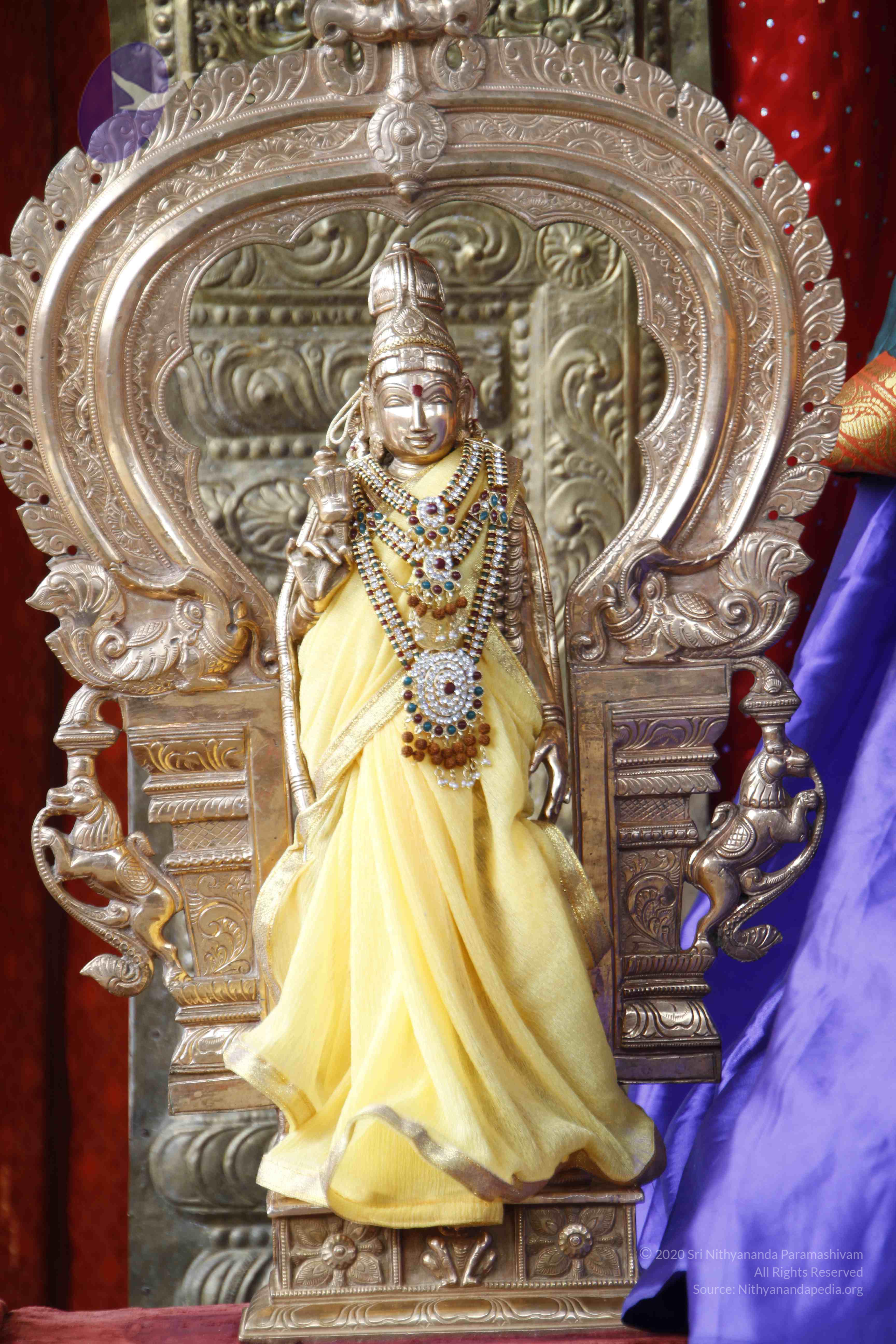 20110802_Photo_1019__MG_8856_CMP_WM