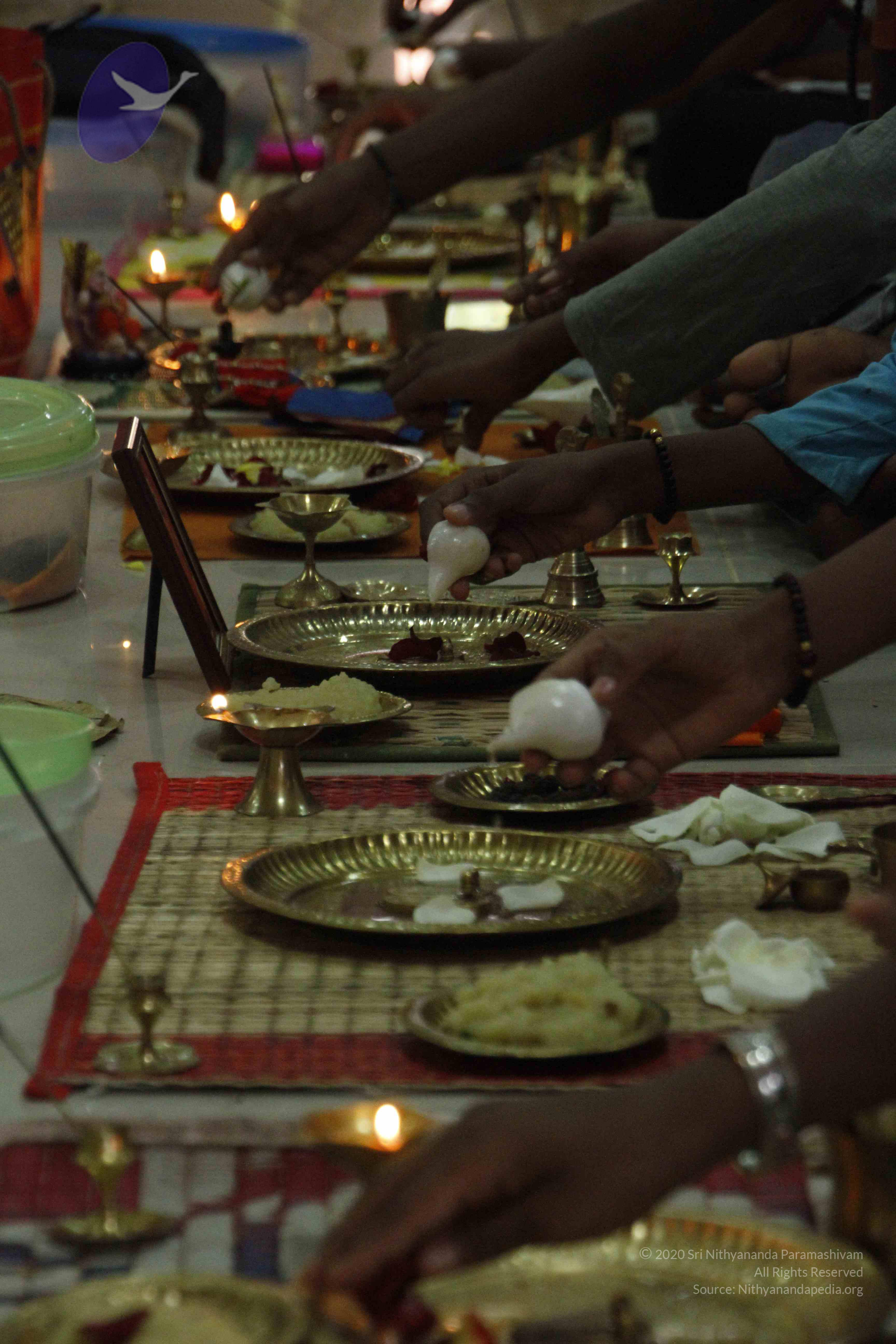 20110803_Photo_1005__MG_8899_CMP_WM