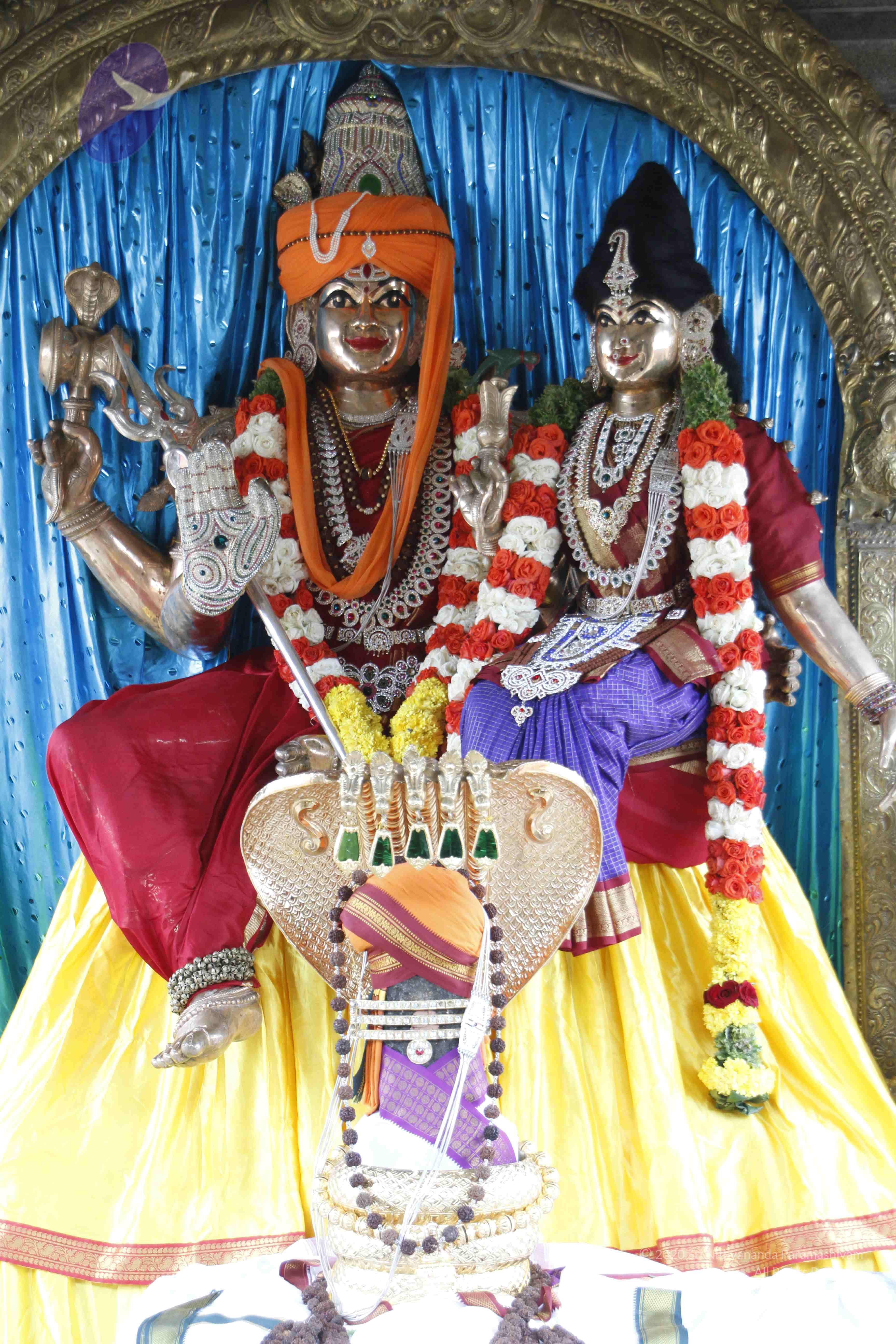 20110803_Photo_1015__MG_8961_CMP_WM