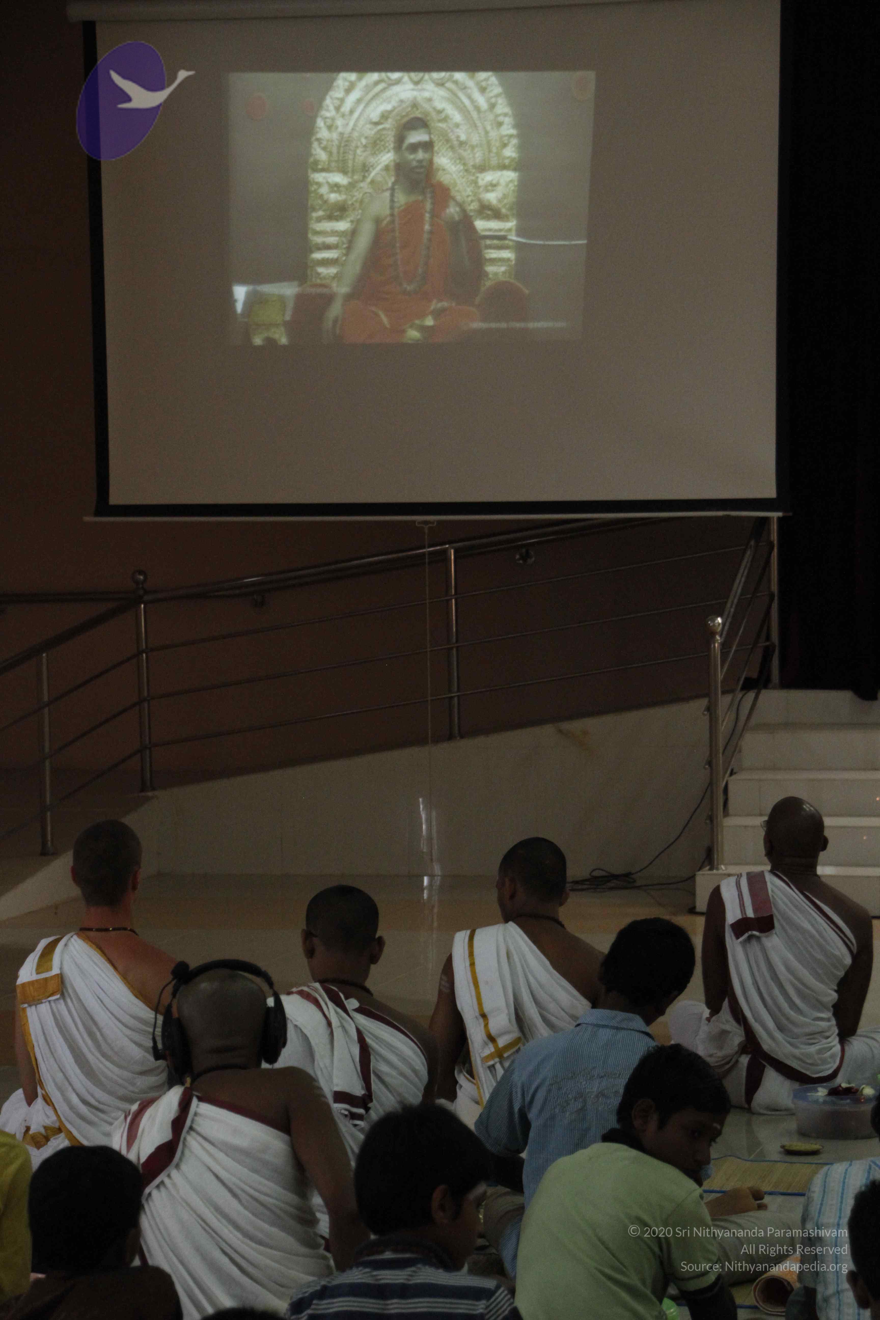 20110803_Photo_1030__MG_8950_CMP_WM