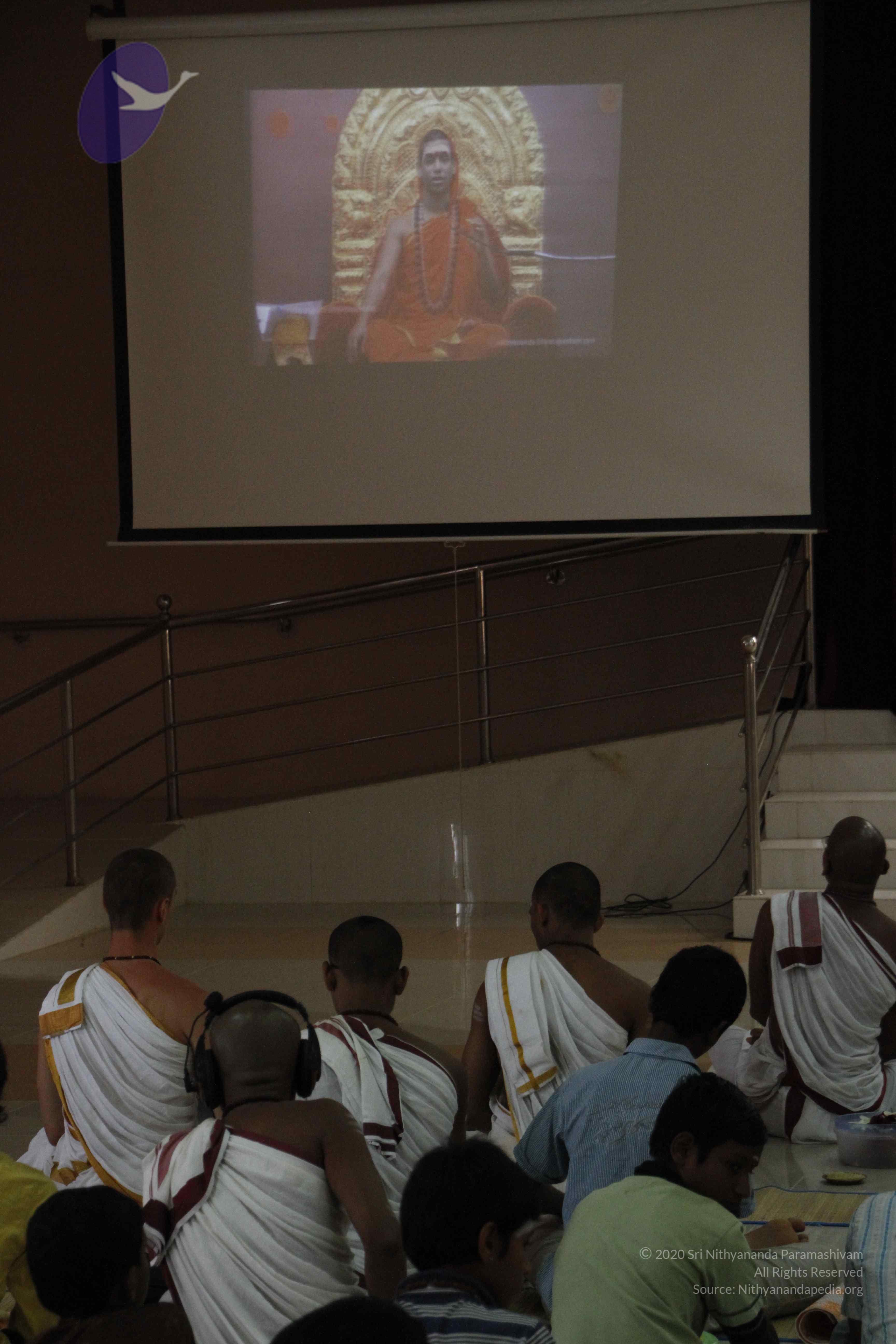 20110803_Photo_1031__MG_8949_CMP_WM