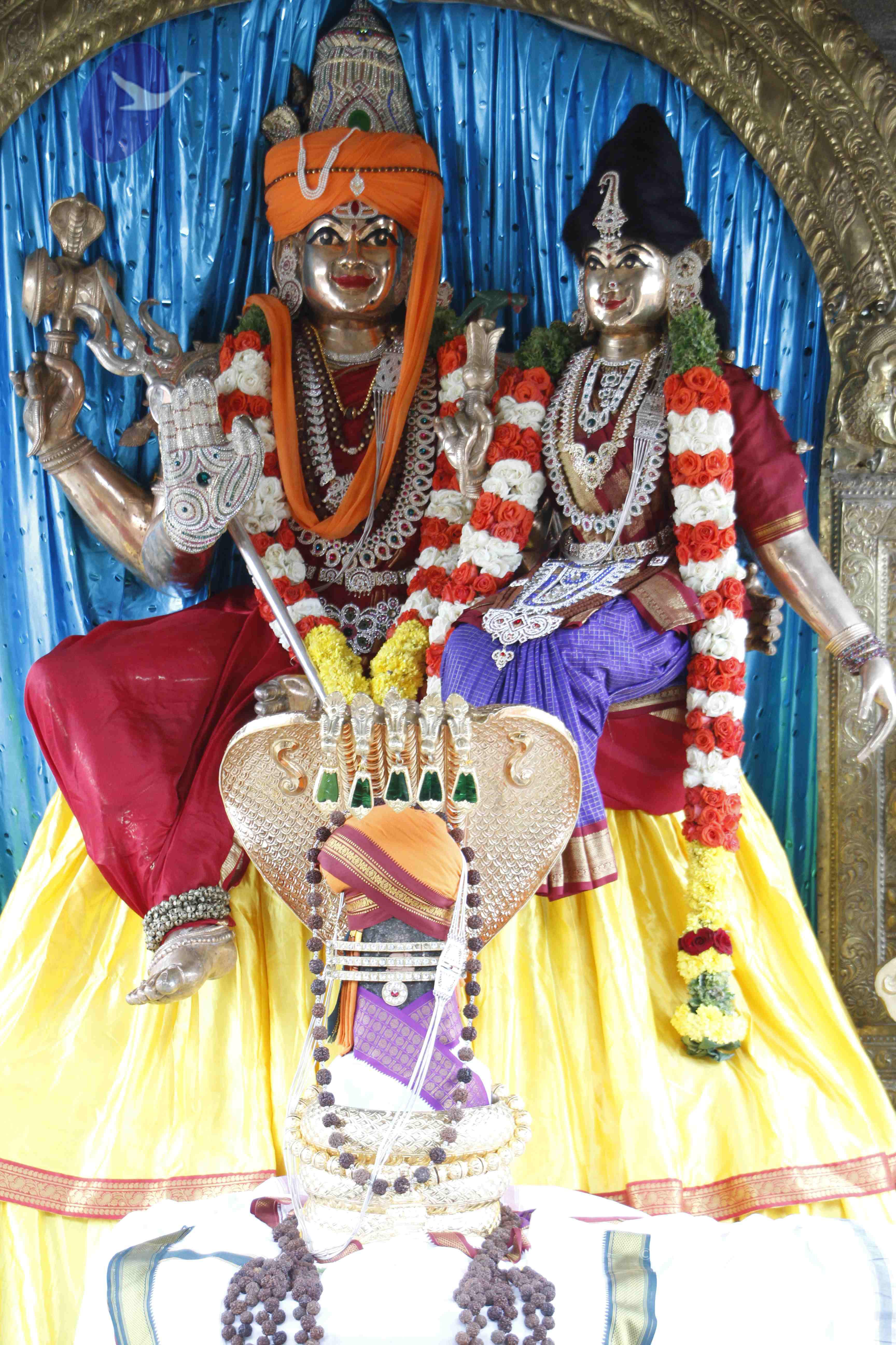 20110803_Photo_1033__MG_8962_CMP_WM