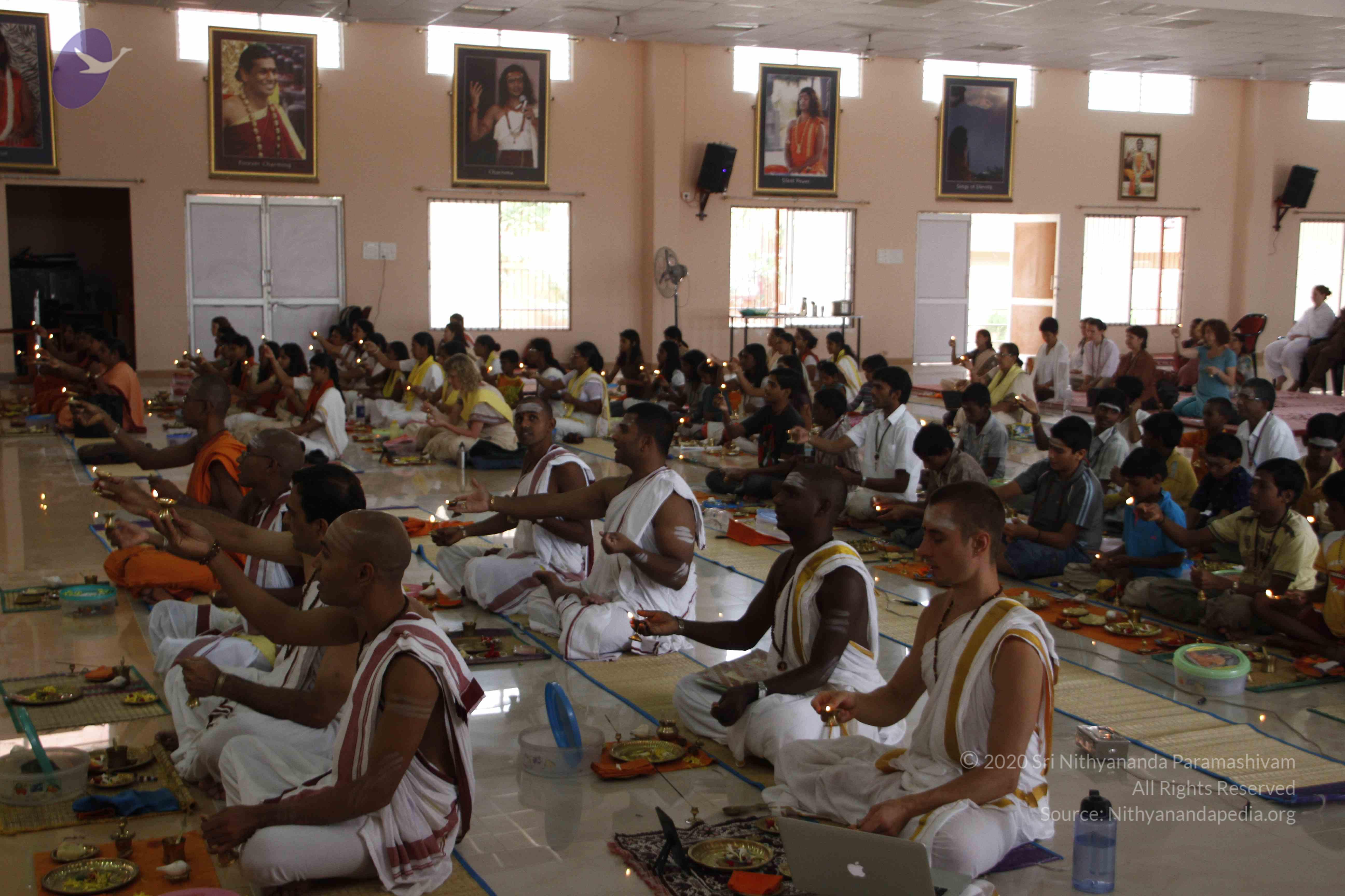 20110811_Photo_1000__MG_9590_CMP_WM