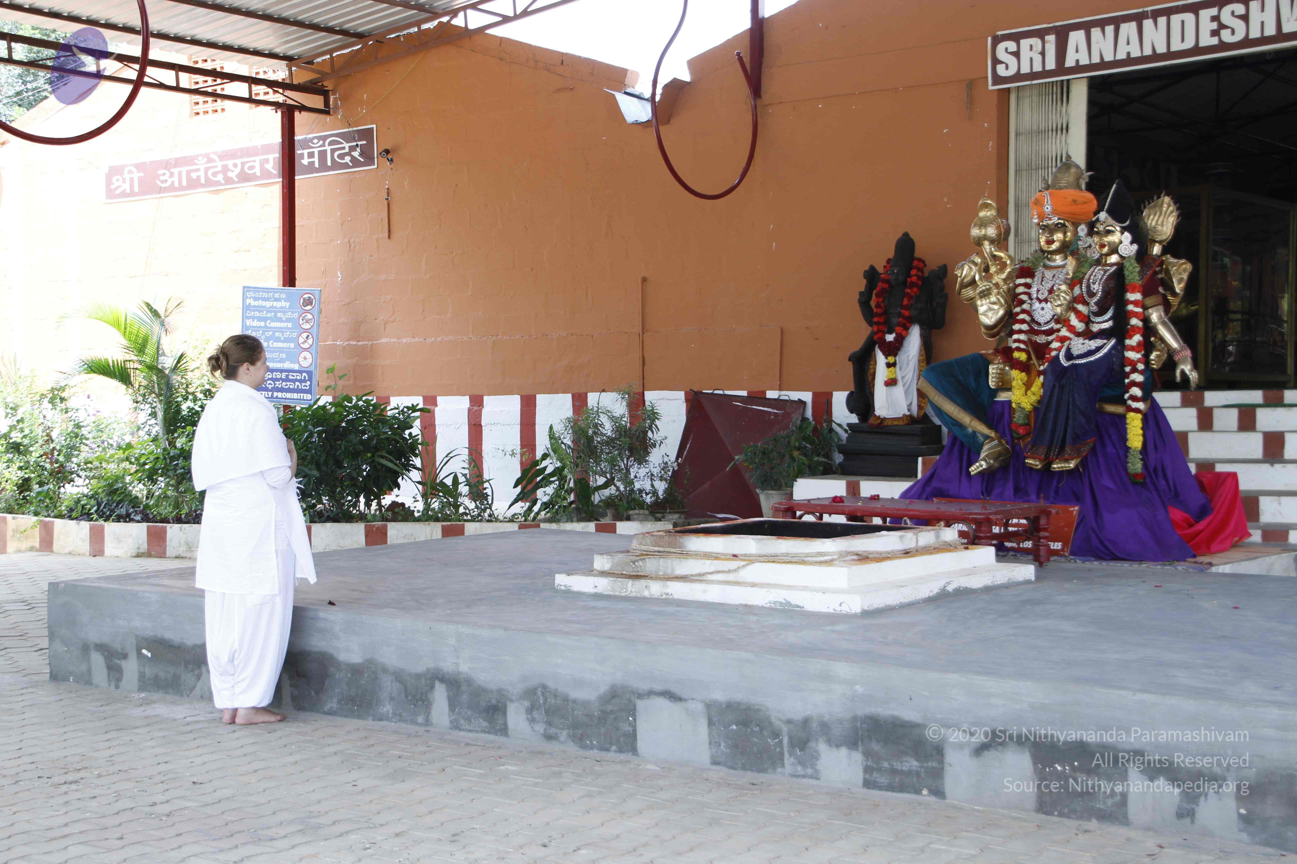 20110811_Photo_1002__MG_9653_CMP_WM