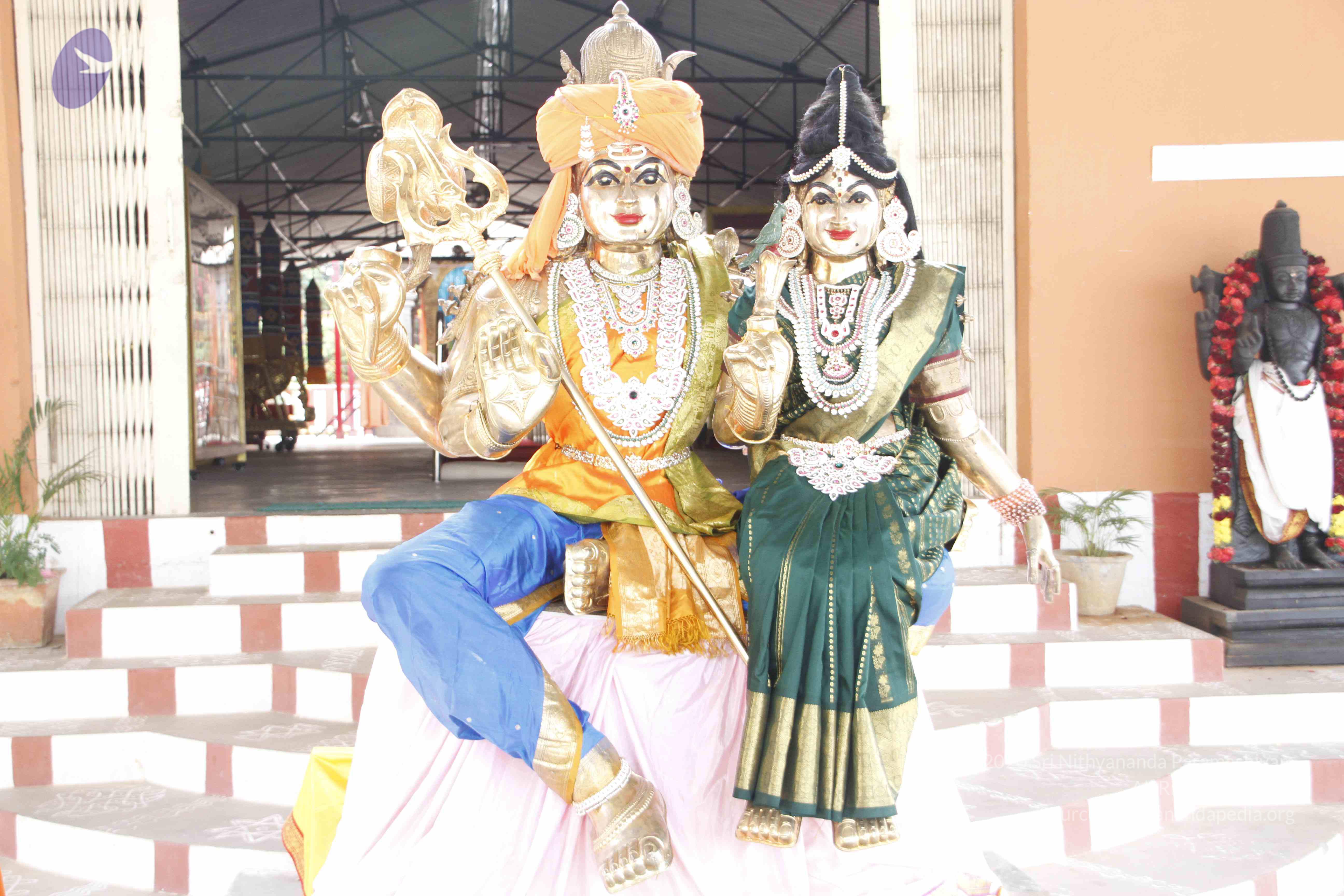 20110811_Photo_1003__MG_9712_CMP_WM