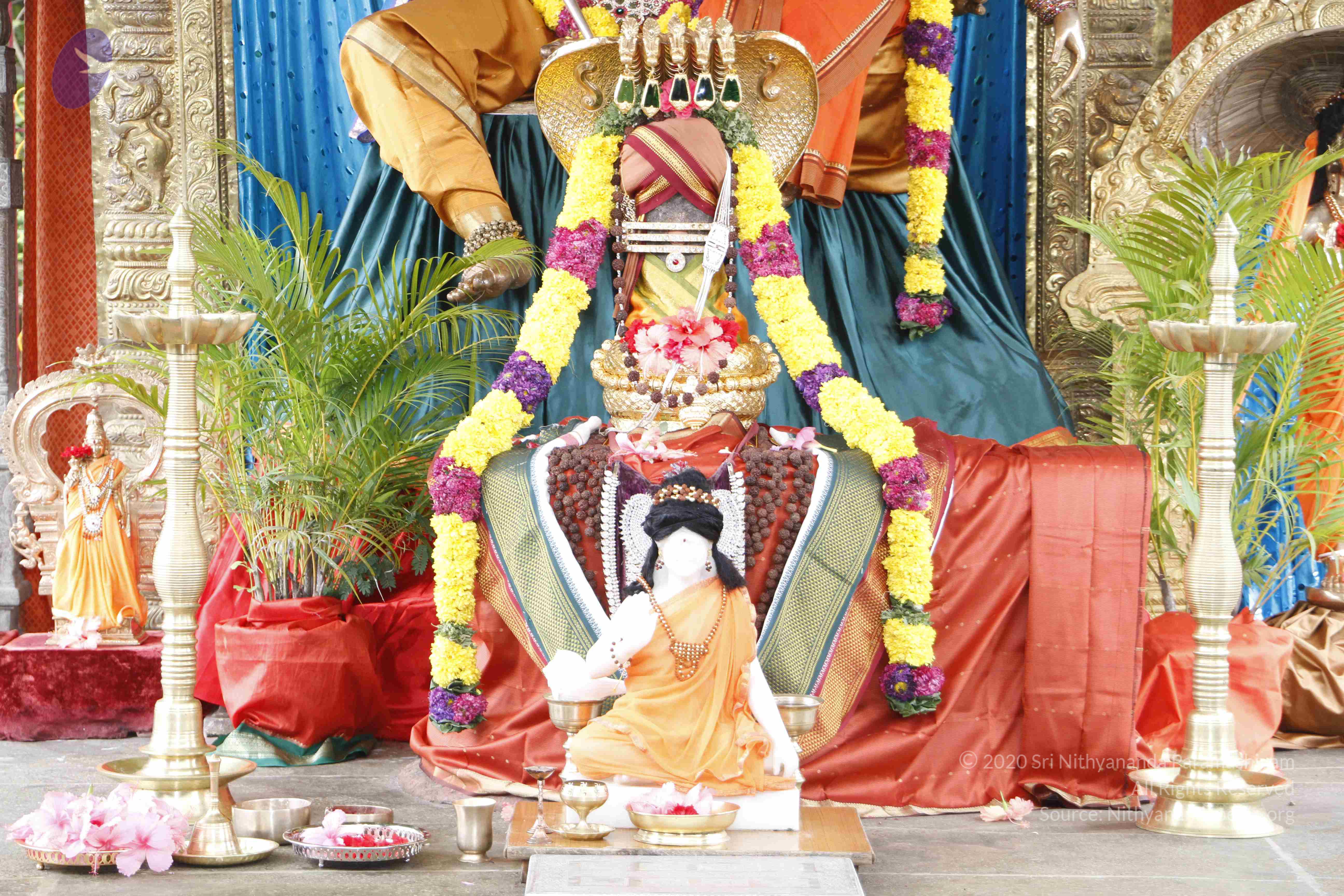 20110811_Photo_1006__MG_9696_CMP_WM