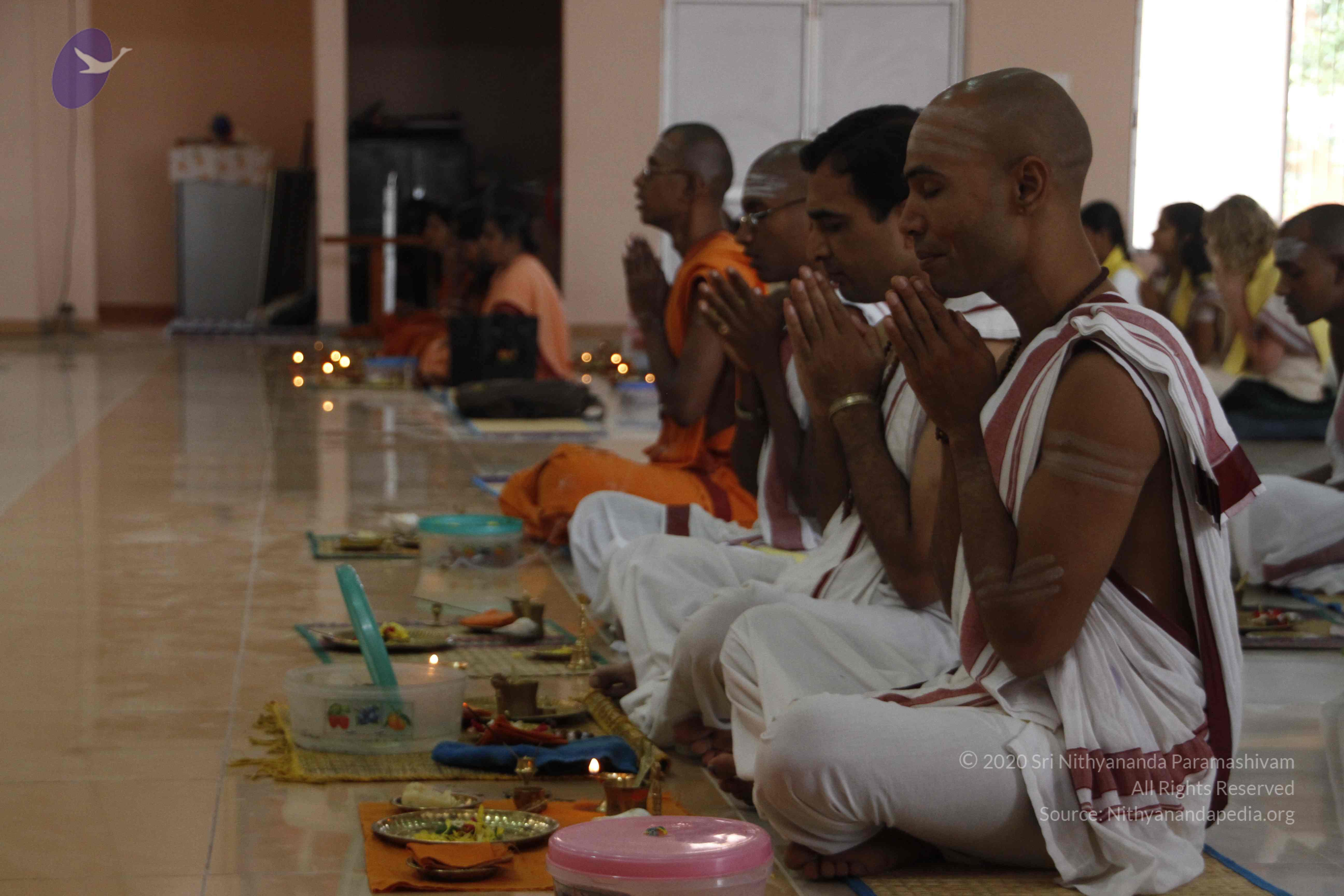 20110811_Photo_1013__MG_9598_CMP_WM