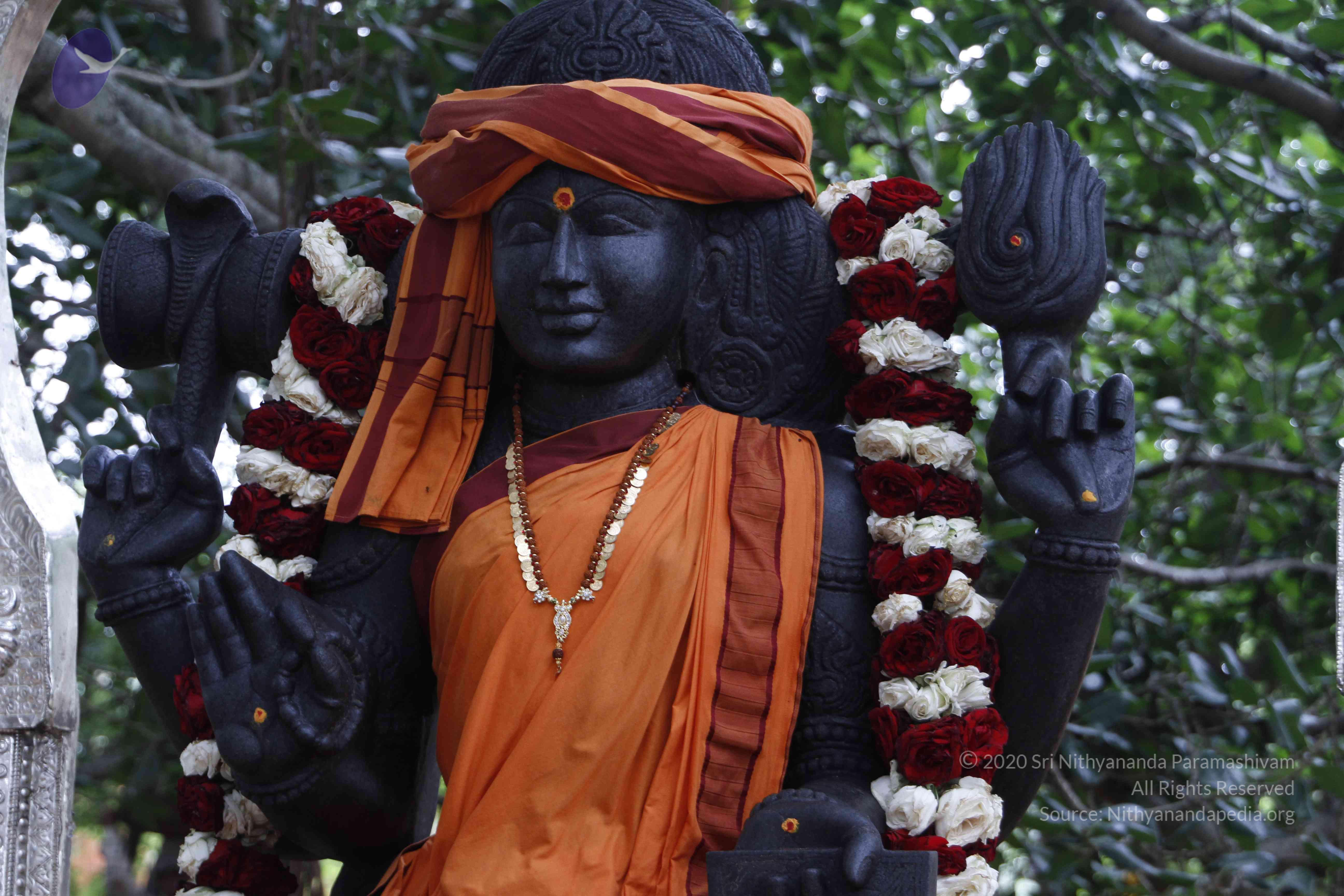 20110811_Photo_1014__MG_9639_CMP_WM