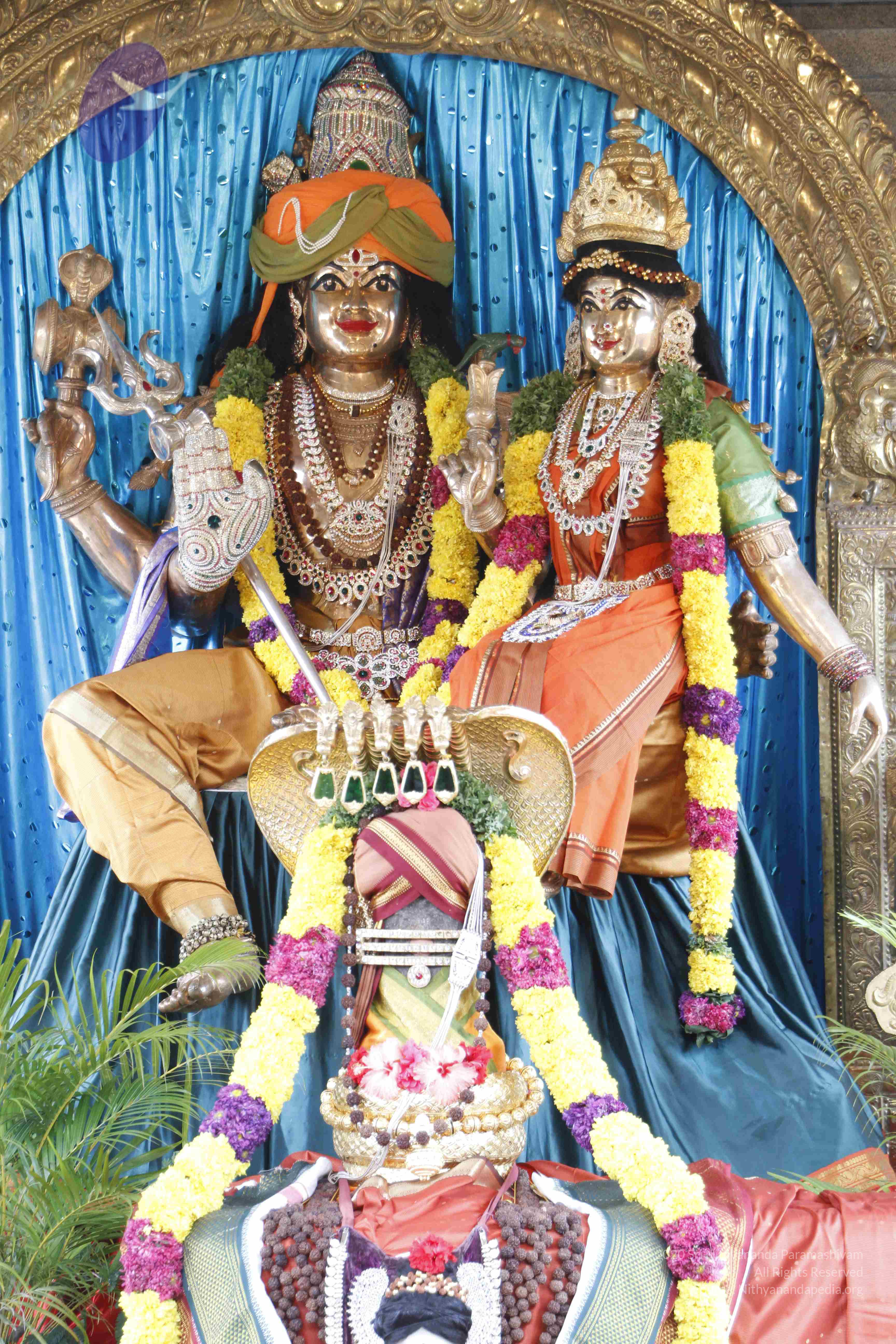 20110811_Photo_1017__MG_9625_CMP_WM