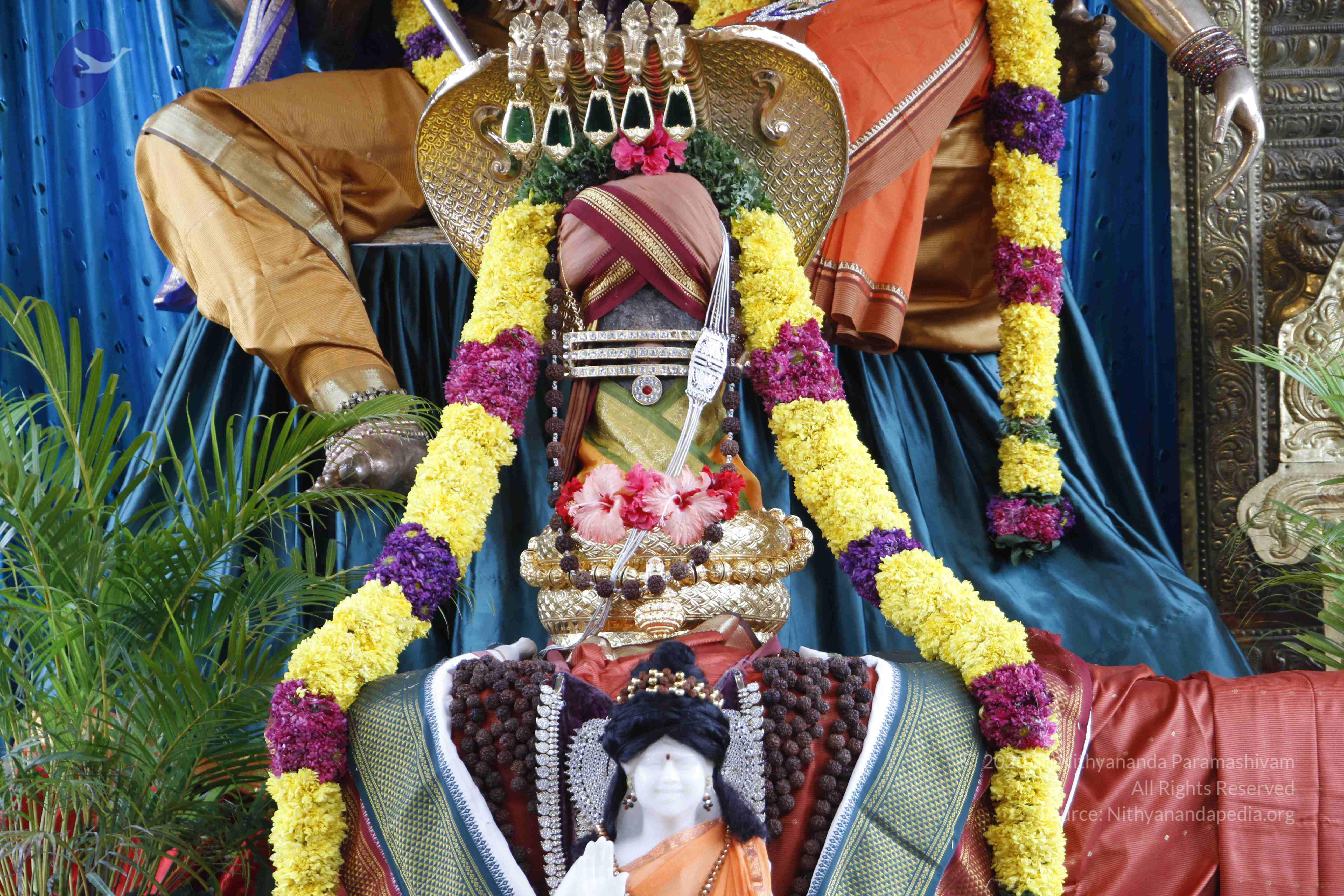 20110811_Photo_1018__MG_9647_CMP_WM