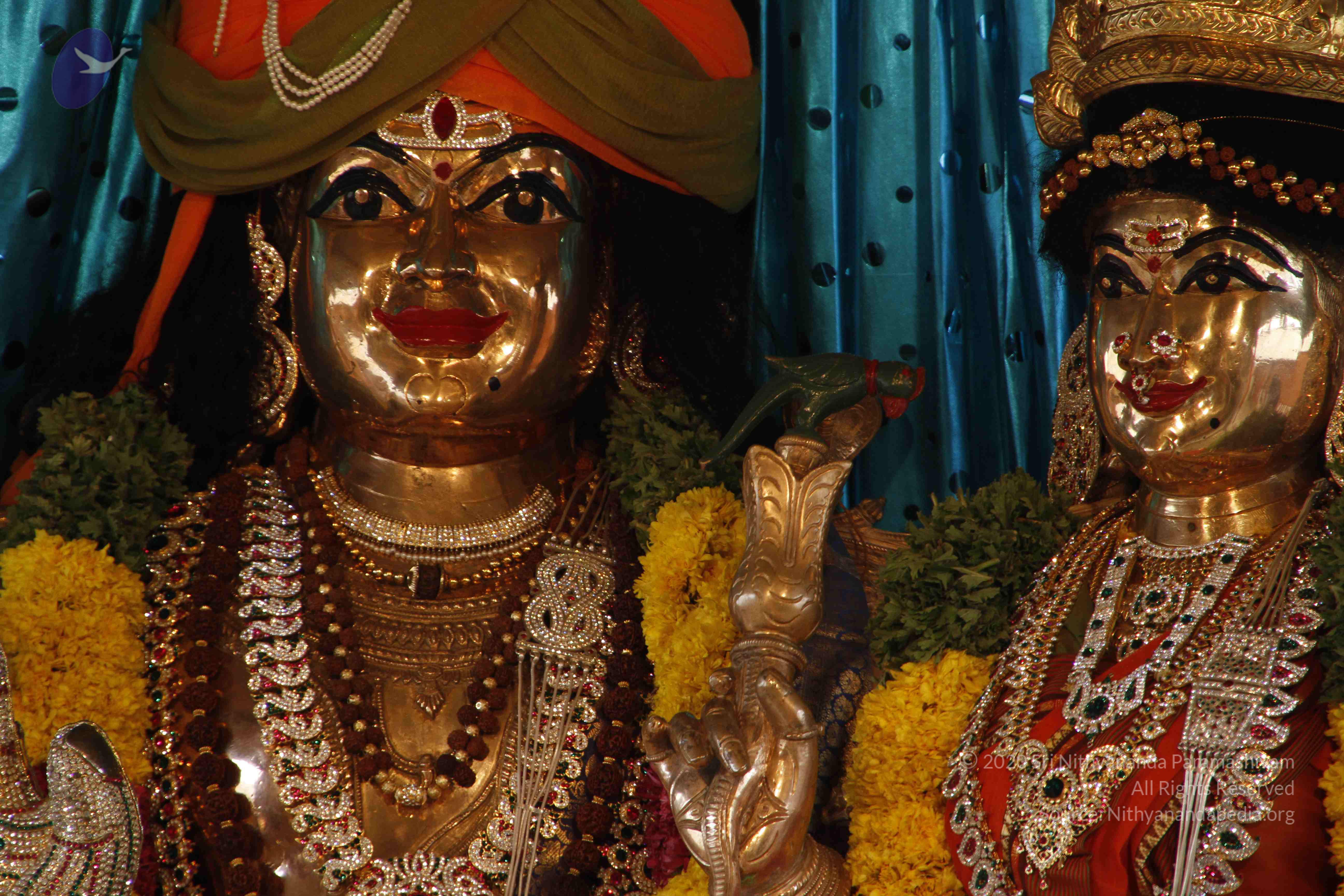 20110811_Photo_1032__MG_9701_CMP_WM