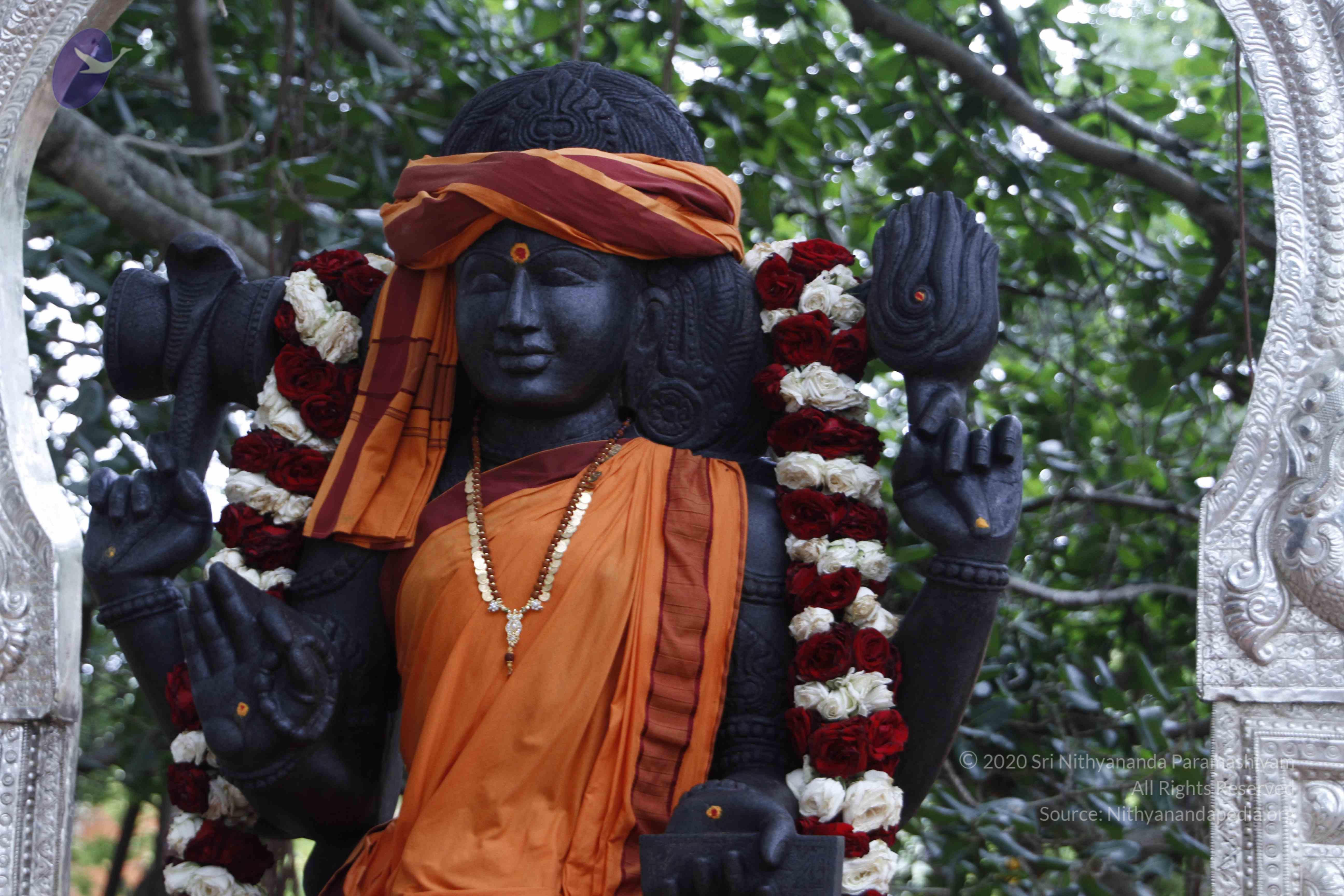 20110811_Photo_1033__MG_9640_CMP_WM