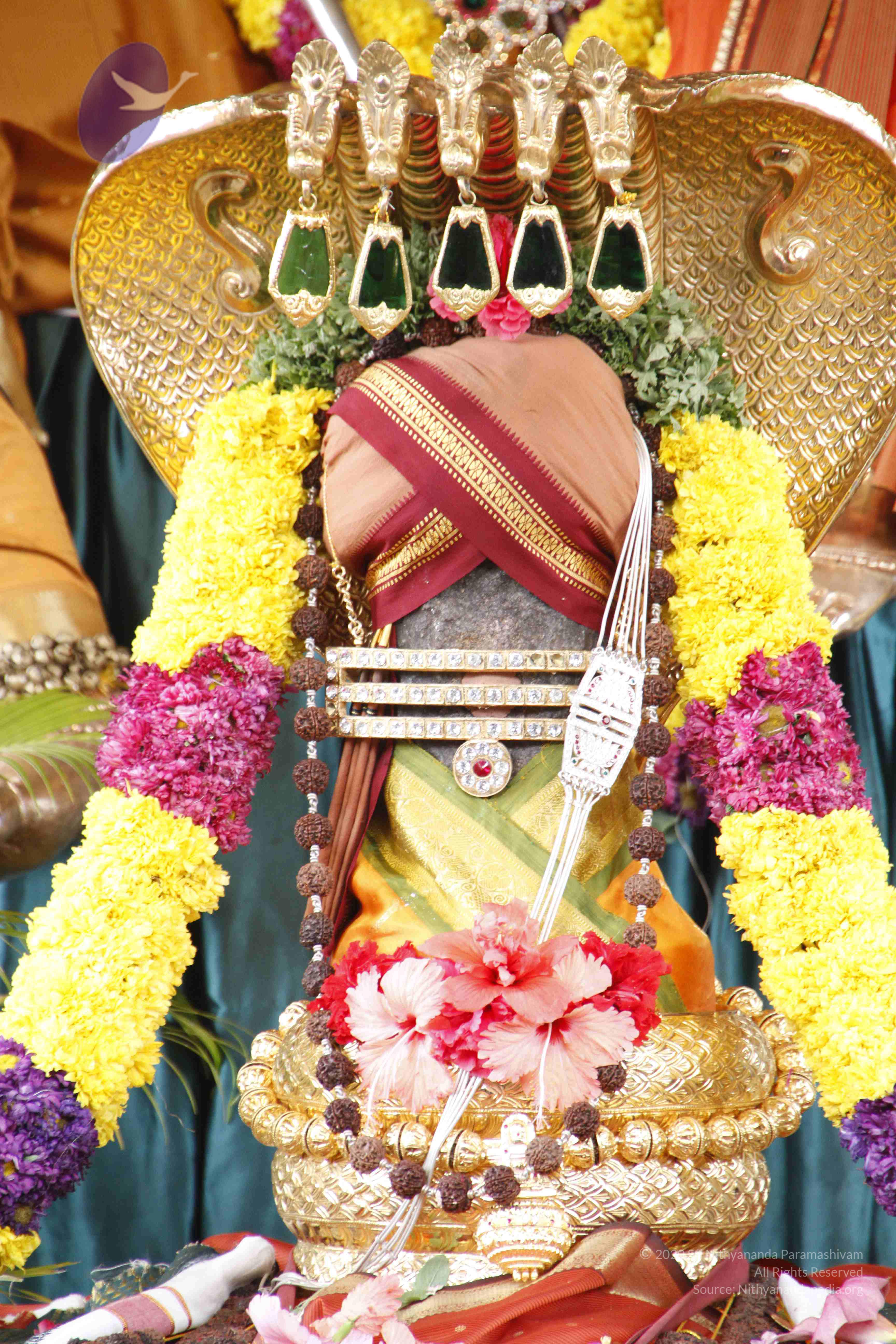 20110811_Photo_1035__MG_9704_CMP_WM