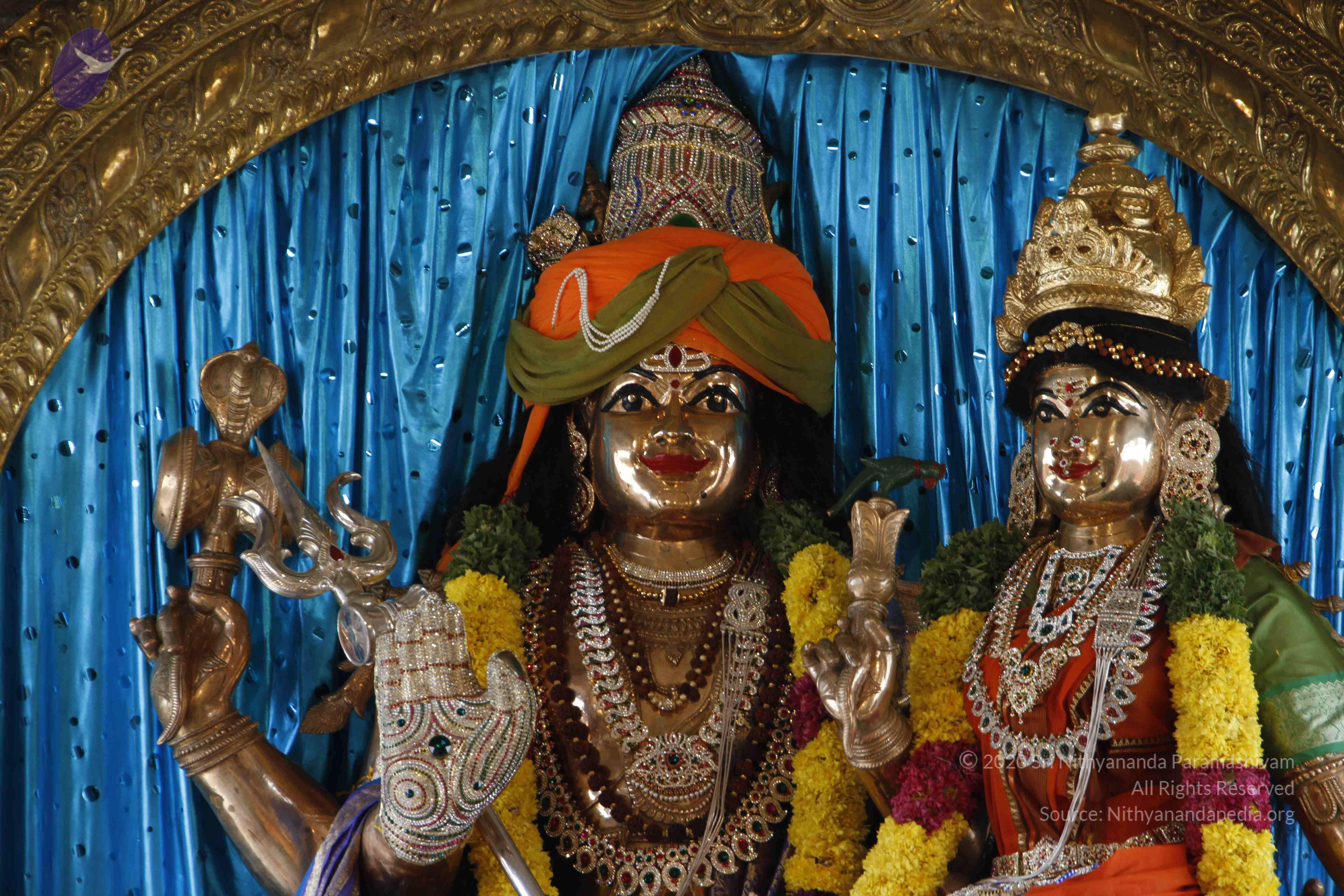 20110811_Photo_1039__MG_9659_CMP_WM