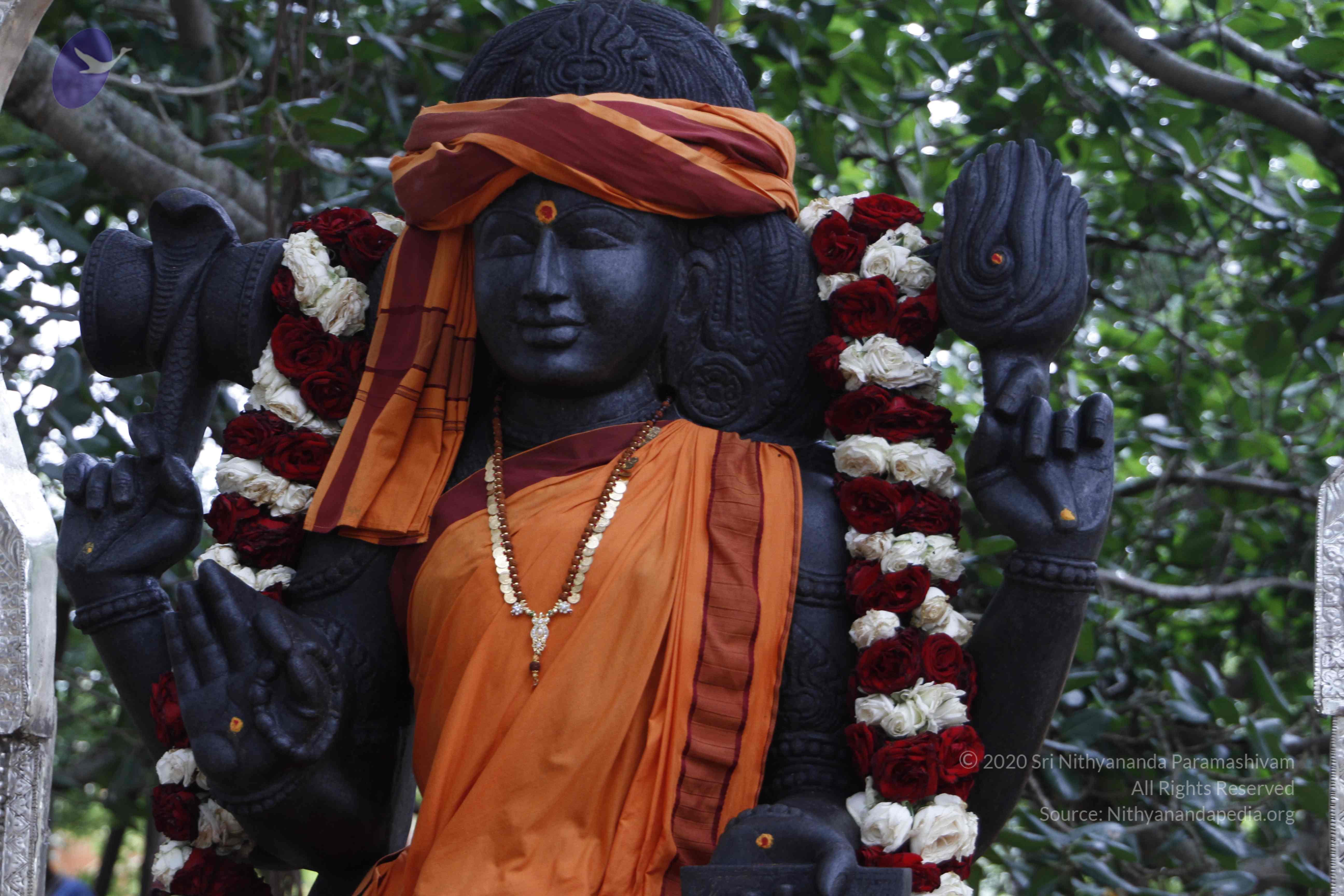 20110811_Photo_1043__MG_9638_CMP_WM