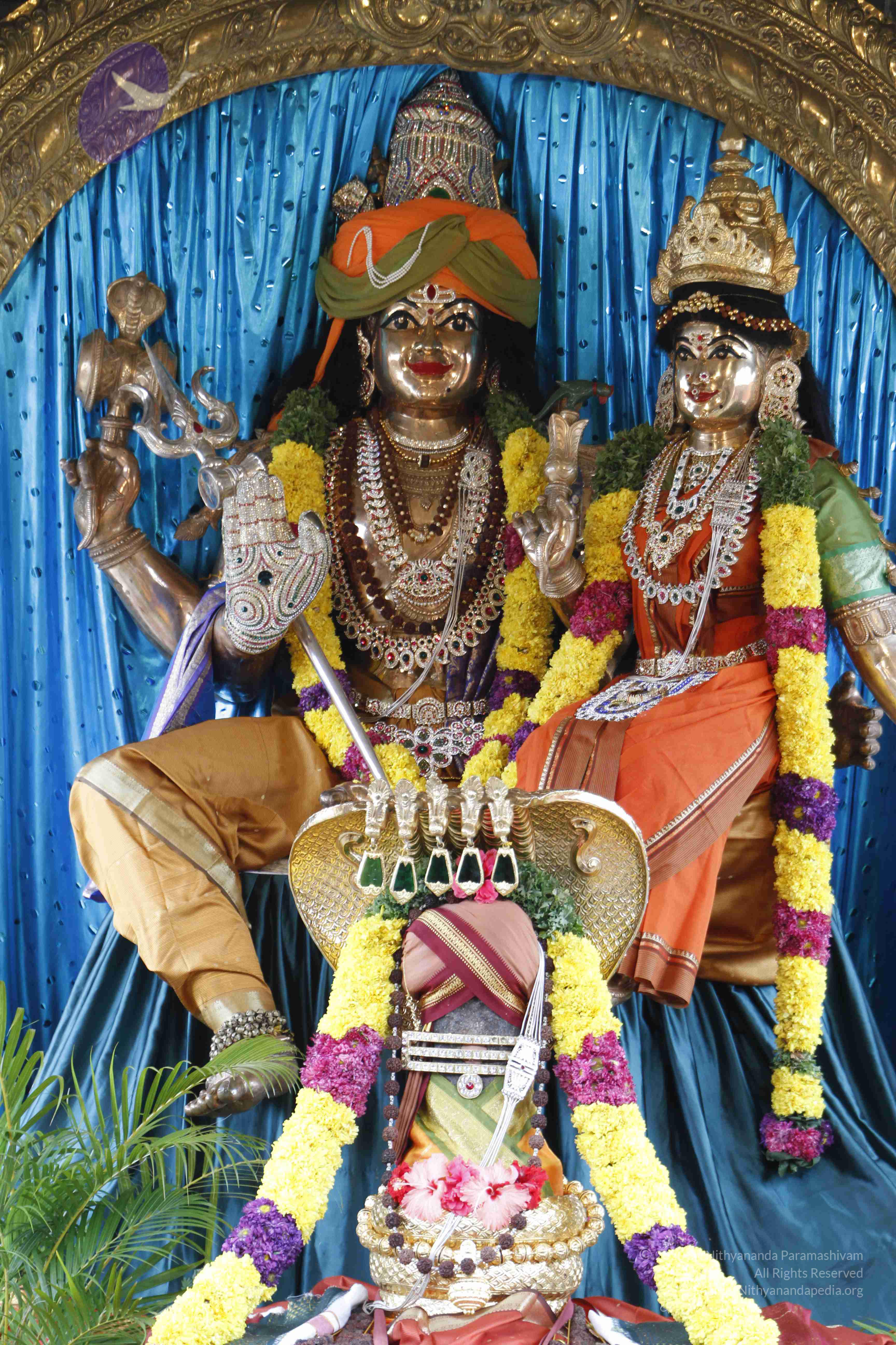 20110811_Photo_1046__MG_9613_CMP_WM