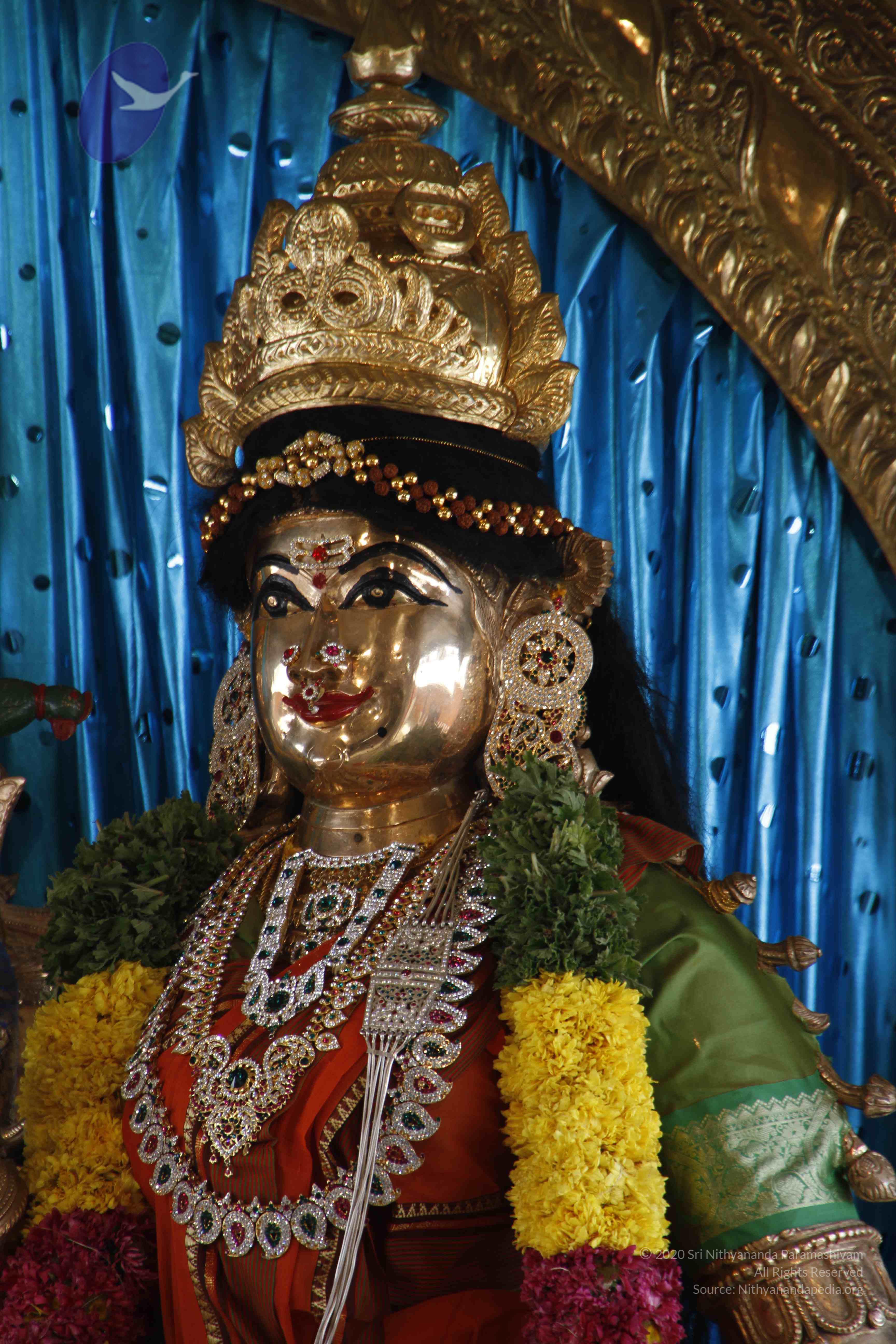 20110811_Photo_1051__MG_9660_CMP_WM