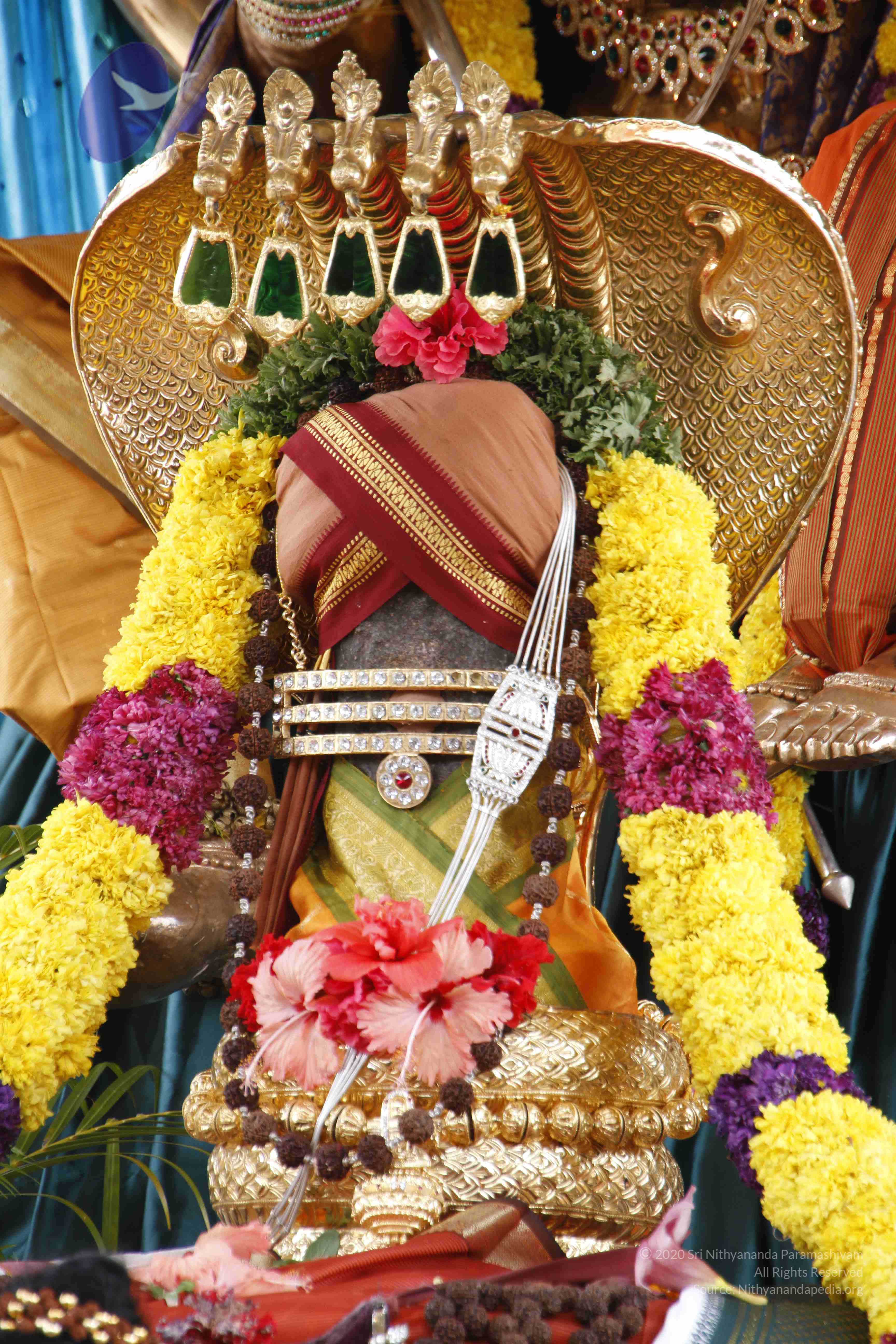 20110811_Photo_1074__MG_9662_CMP_WM