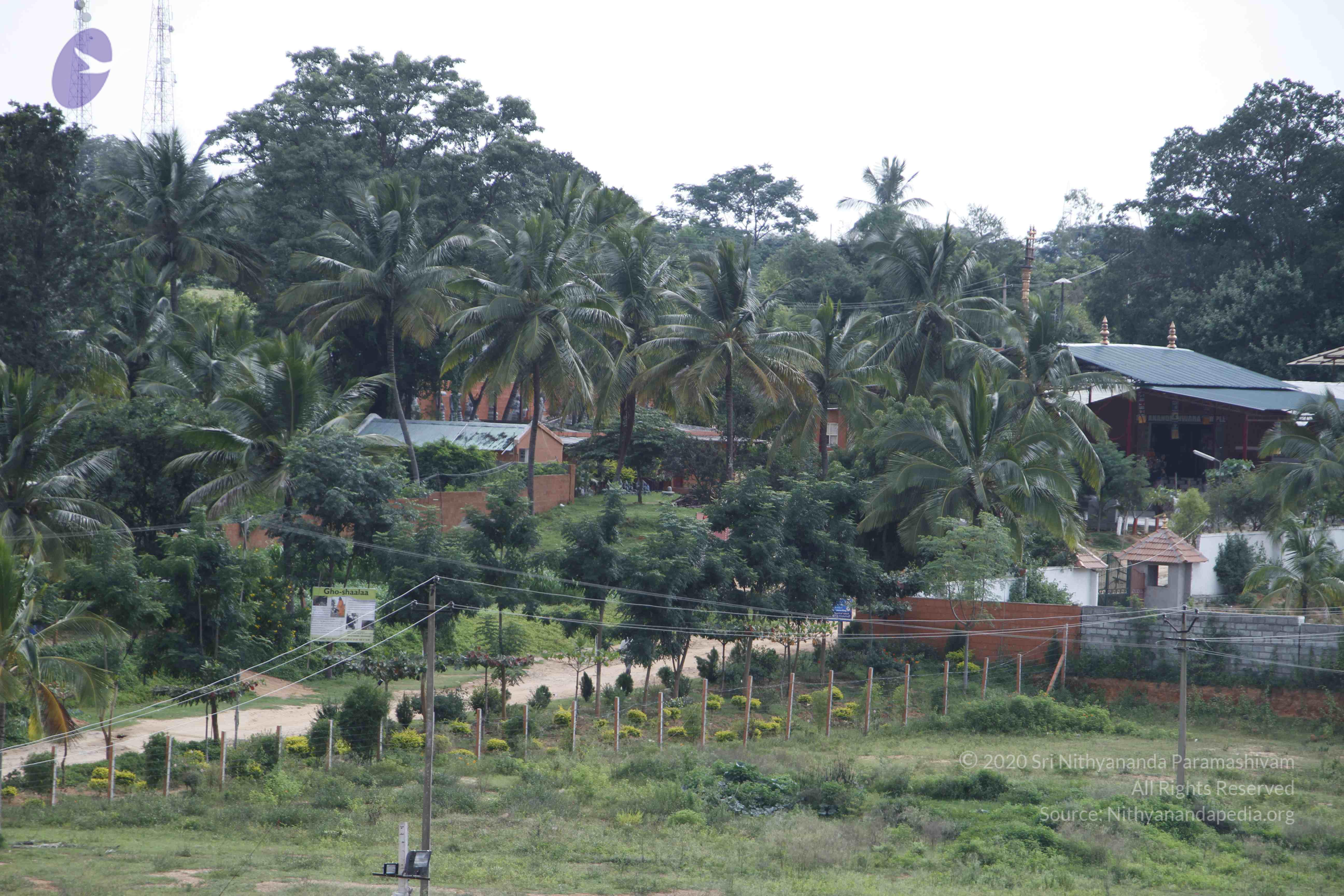 20110811_Photo_1004__MG_9753_CMP_WM