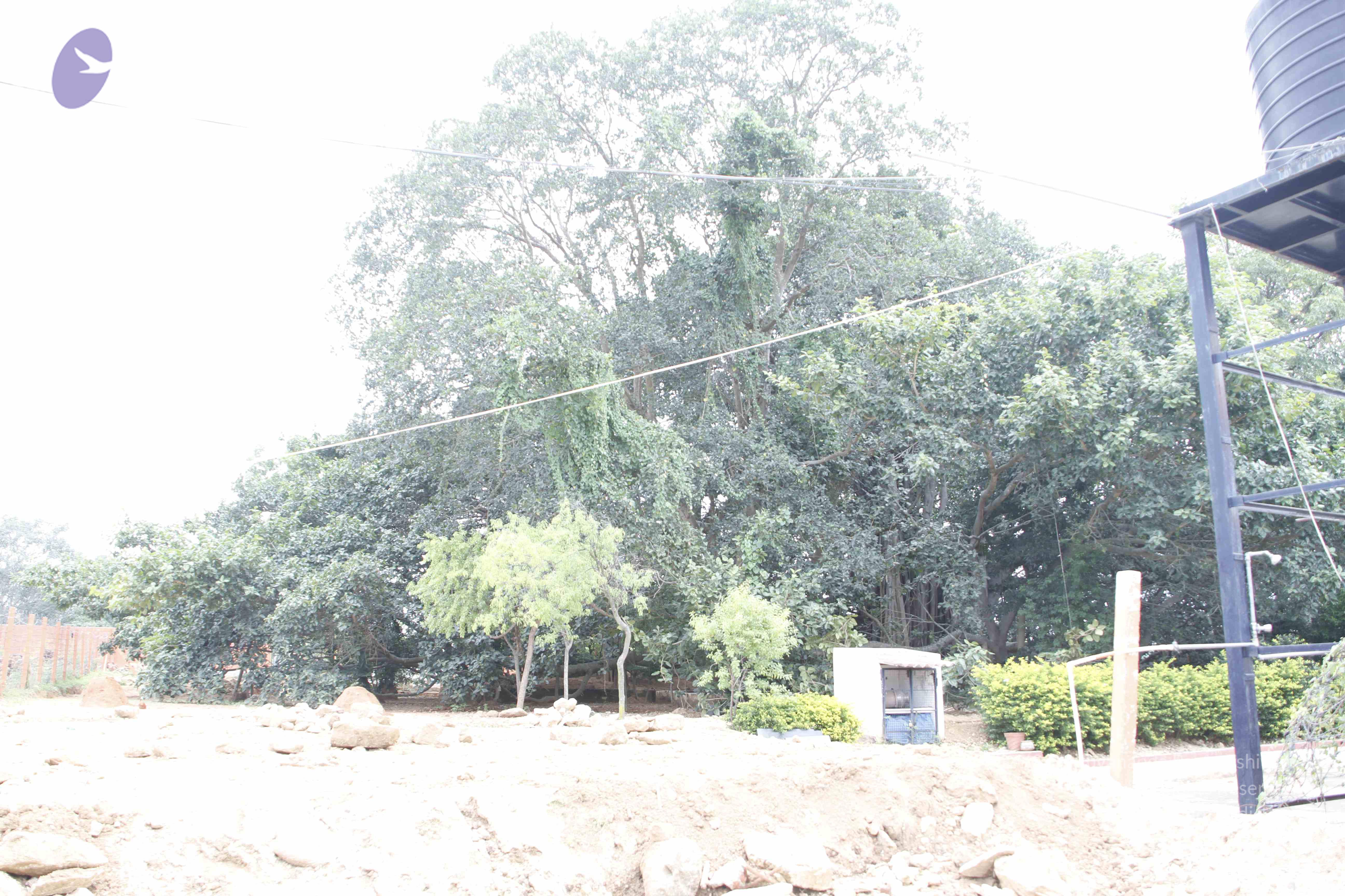 20110811_Photo_1009__MG_9677_CMP_WM