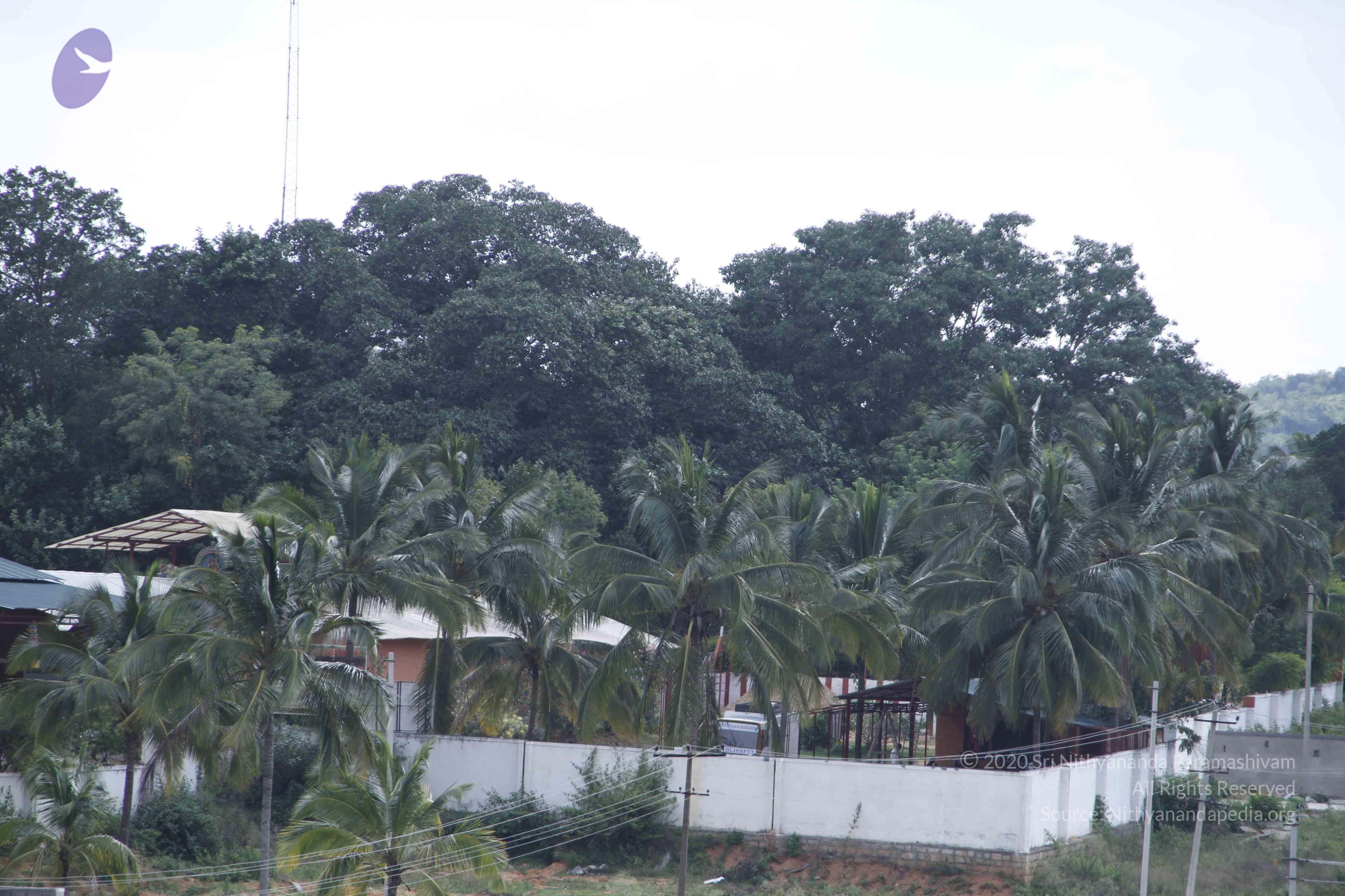 20110811_Photo_1012__MG_9751_CMP_WM